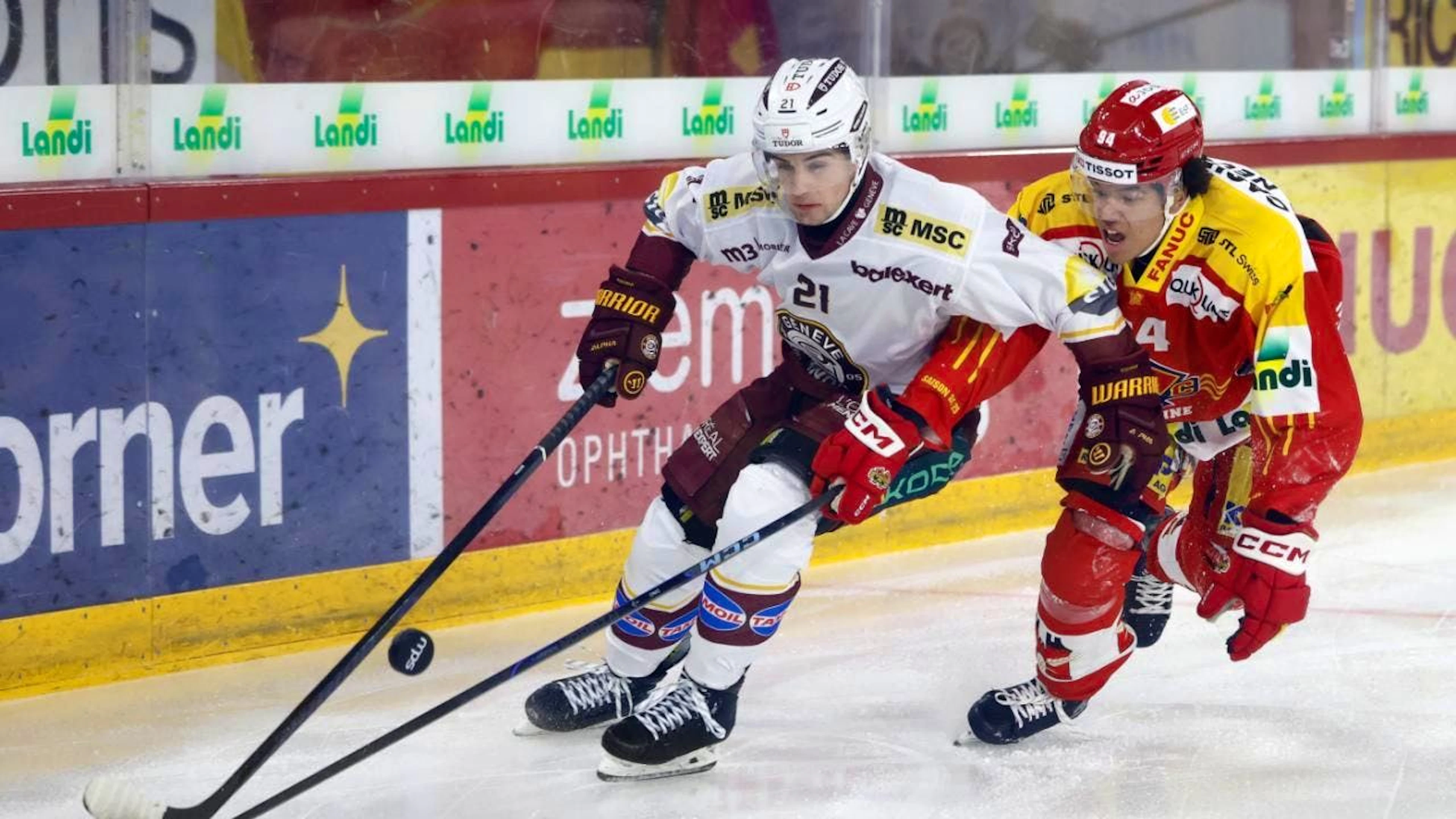 Tim Berni (links) kehrt von Genève-Servette zu den ZSC Lions zurück