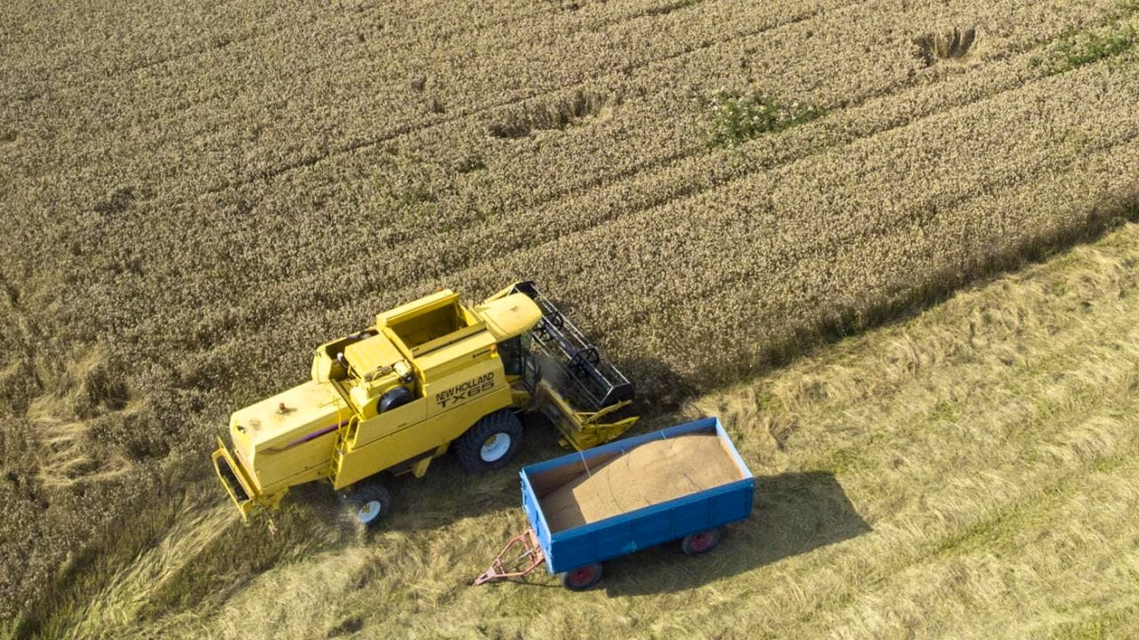 La rénovation complète du centre collecteur d'Echallens doit permettre le traitement rapide et le stockage d'environ 20'000 tonnes de graines par an (image prétexte).