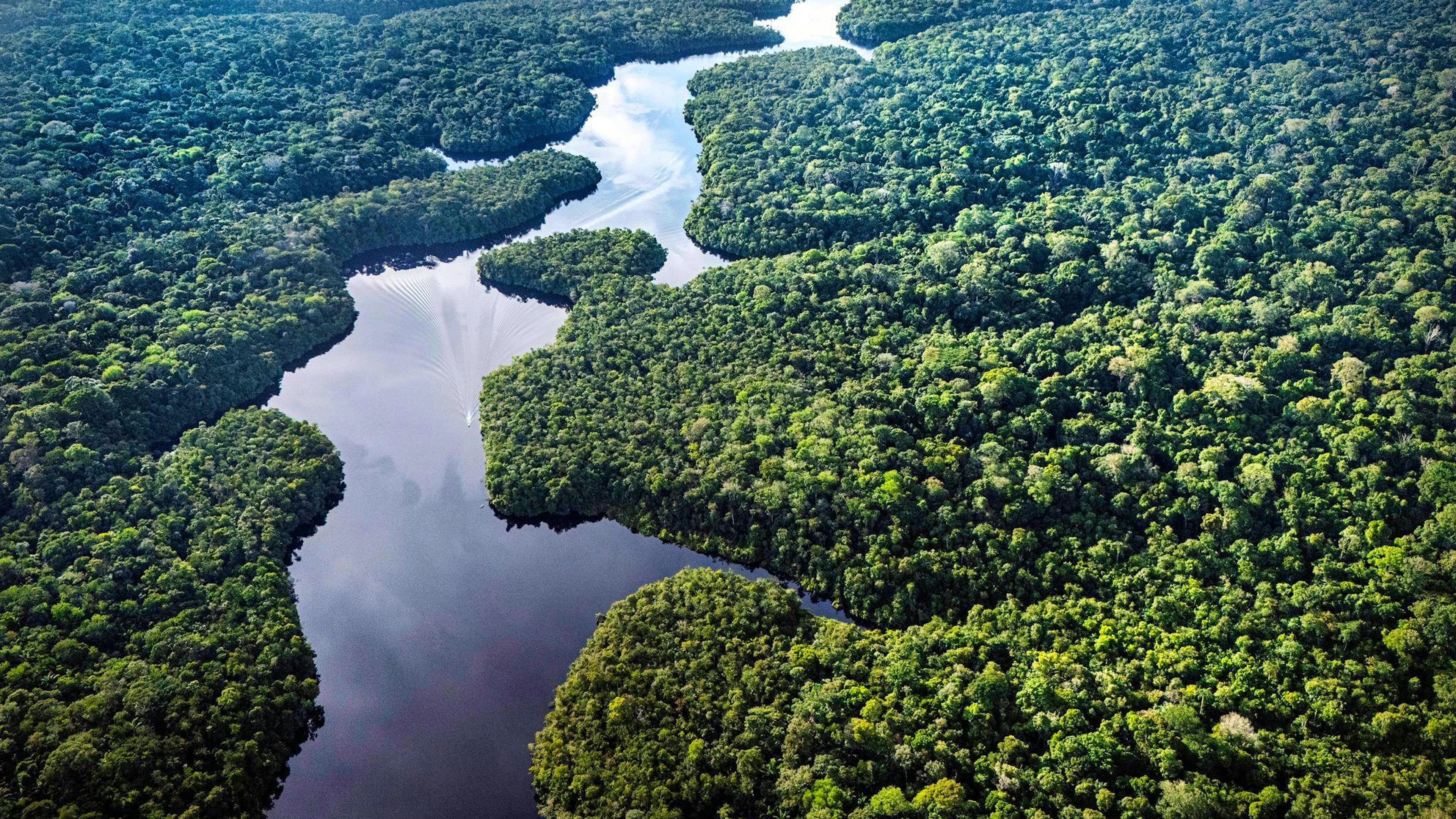 Der Amazonas: extrem wichtig fürs Klima, aber enorm unter Stress.