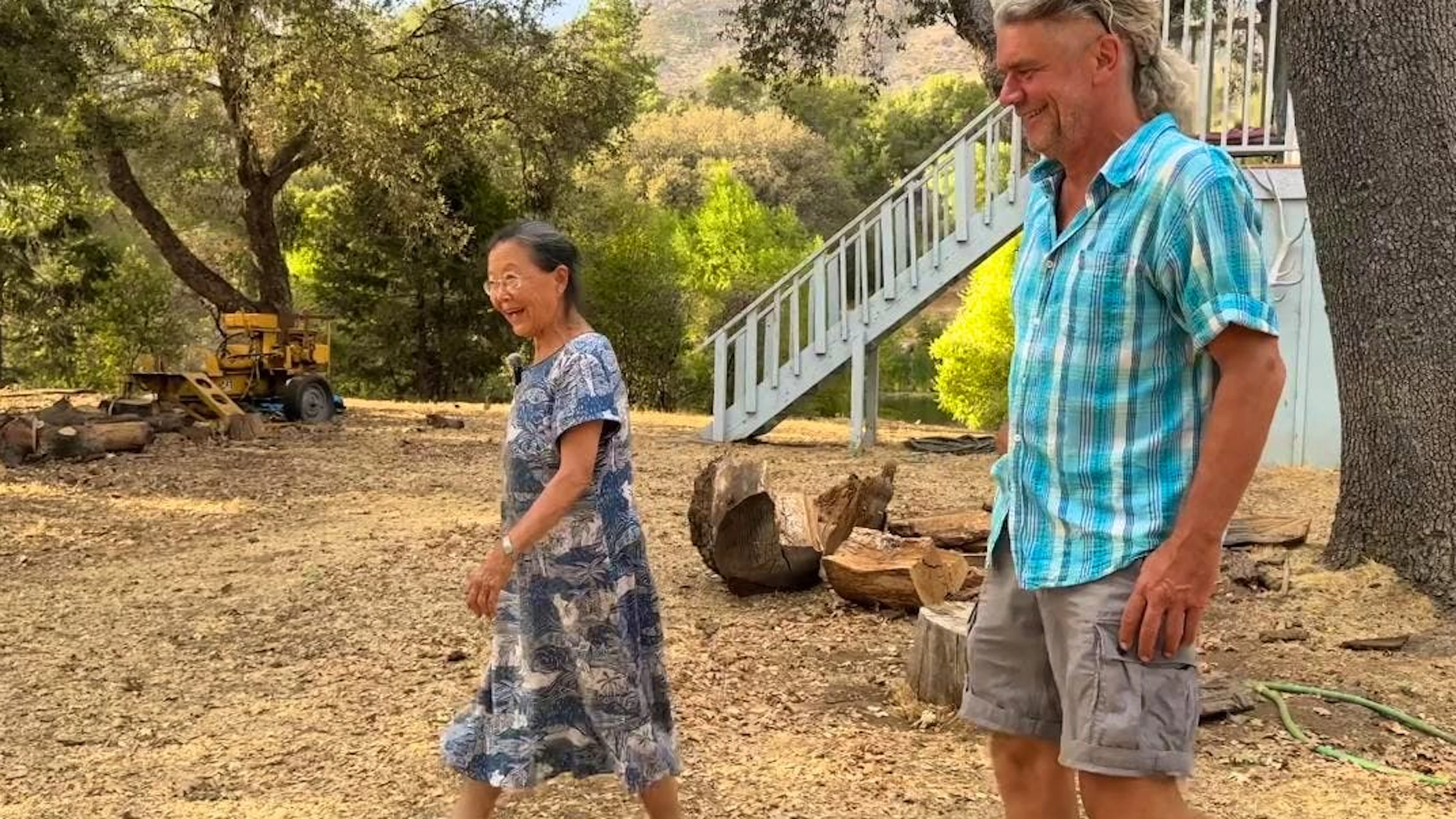 Deshalb besitzt diese Frau 400 Meerschweinchen