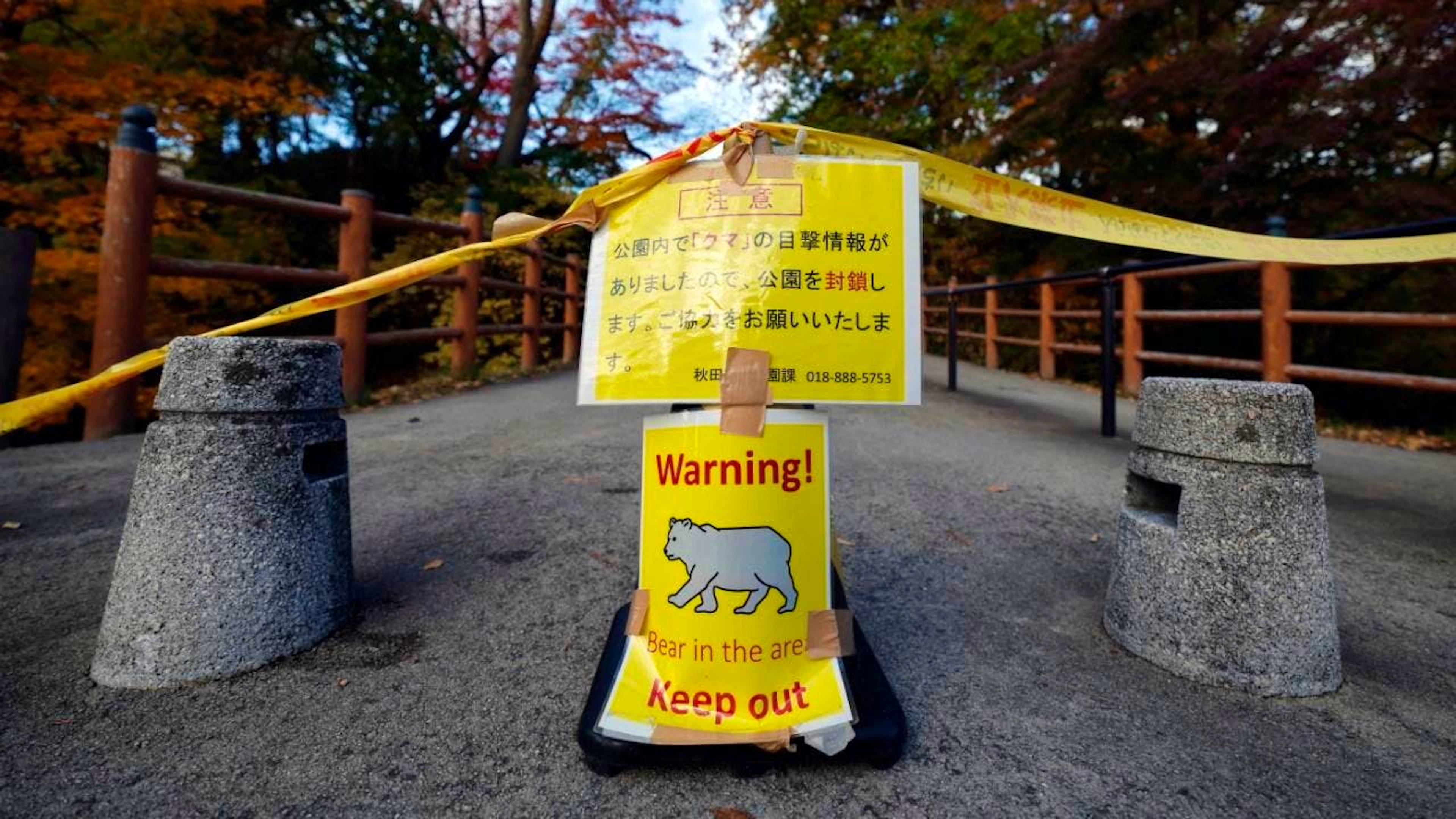 Des mises en garde ont été émises contre la présence d'ours dans certaines zones du Japon (image d'illustration).