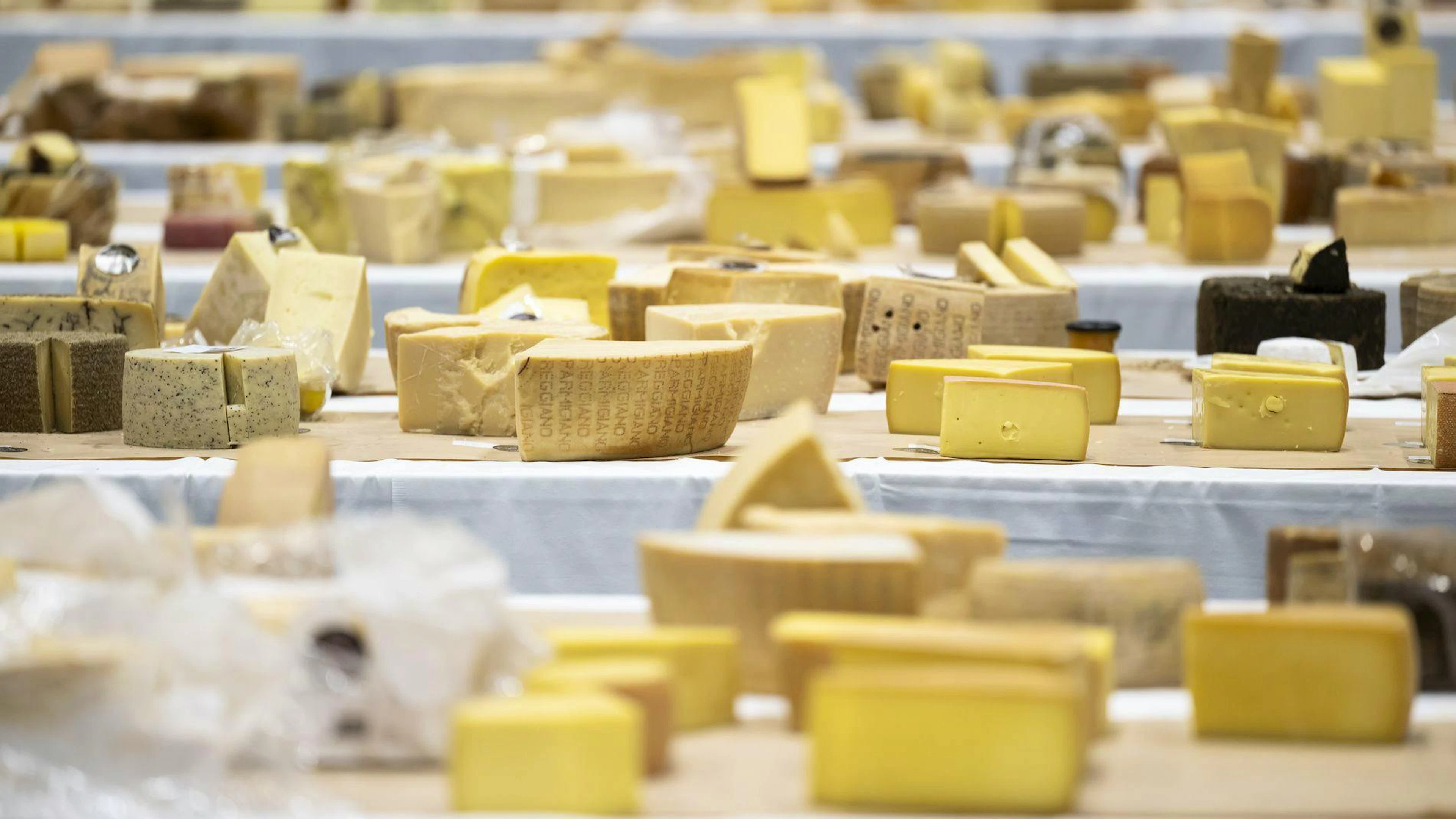 Fromages de différents pays photographiés lors de la 37e édition des World Cheese Awards, à la Festhalle de Berne, en Suisse, le 13 novembre 2025. Plus de 5 244 fromages provenant de 46 pays sont en compétition cette année. La Suisse joue un rôle central en tant que pays hôte, avec 948 fromages en compétition. Des tonnes de fromage ont été jetées à la poubelle après la tenue de l'événement. (KEYSTONE/Anthony Anex)