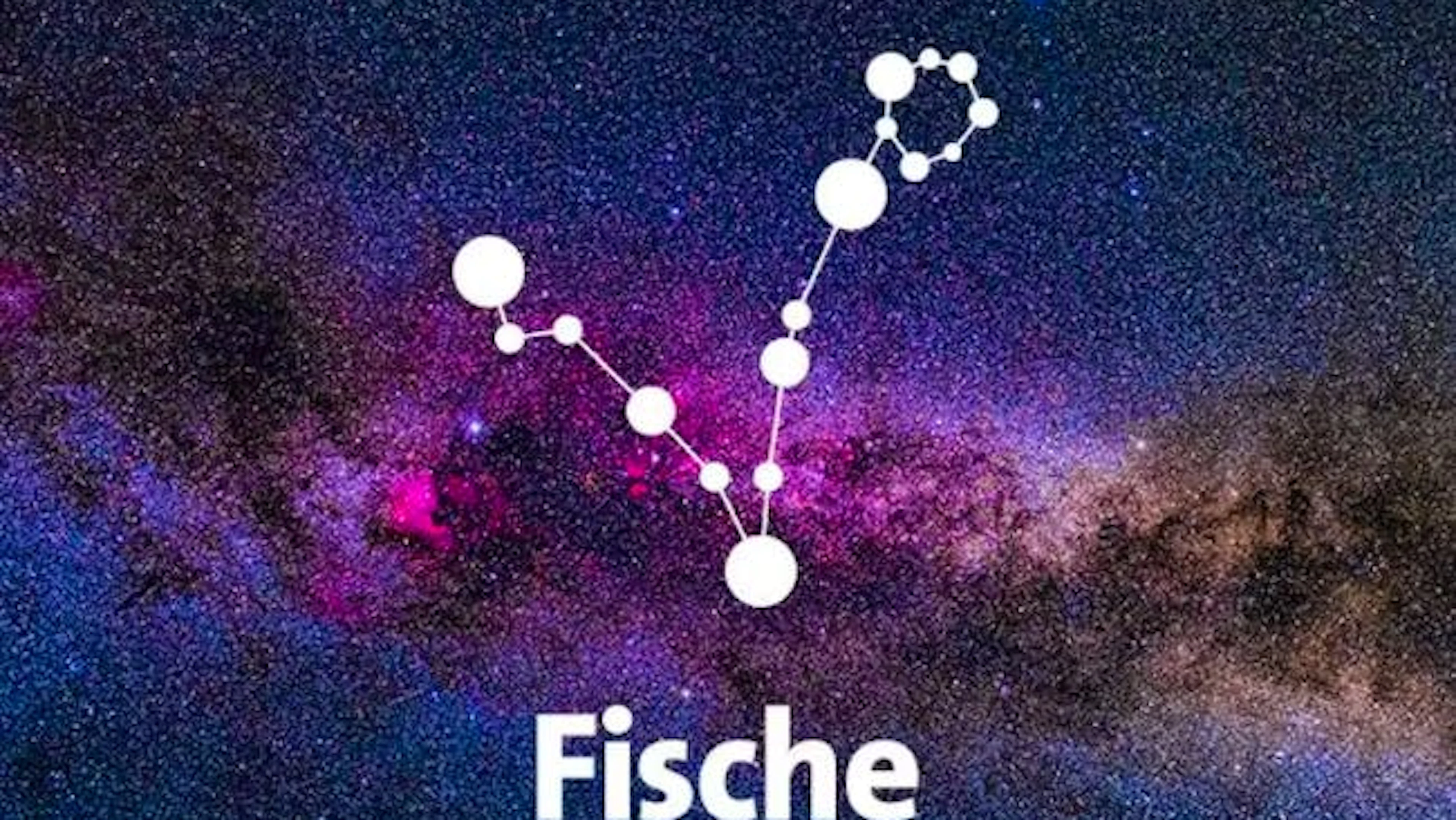 Monica Kissling: «Für Fische wird eine Vision greifbar»