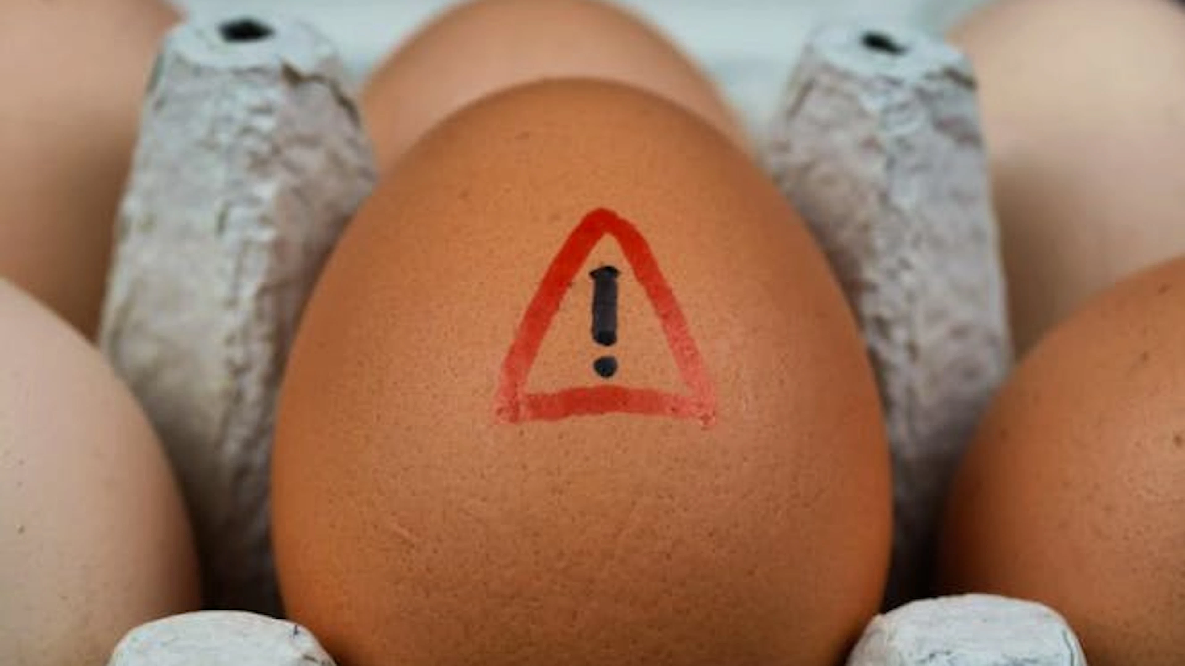 Lange galten Eier als No-Go für Menschen mit hohem Cholesterin. Heute ist klar: Der Einfluss von Eiern auf den Cholesterinspiegel ist viel kleiner, als früher angenommen. Sie sind weder Hauptverursacher hoher Werte noch müssen sie grundsätzlich gemieden werden. Entscheidend bleibt die gesamte Ernährung – nicht das Zmorge-Ei.