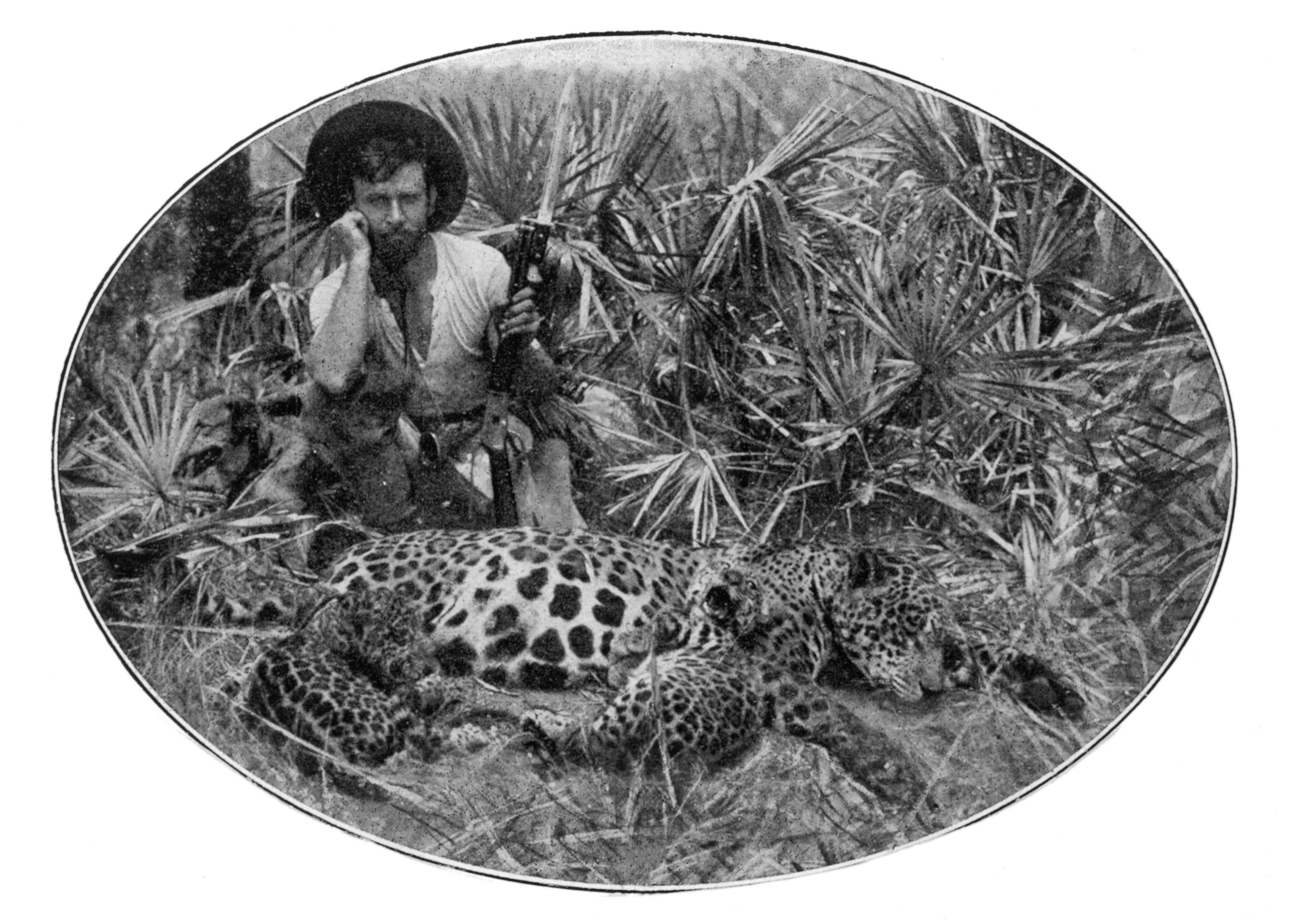 Nel 1924, Percy Fawcett parte con il figlio Jack e l'amico del figlio, Raleigh Rimmel, alla volta del Mato Grosso brasiliano, nella regione sud-occidentale dell'Amazzonia, per trovare la «City of Z»: i tre uomini sono scomparsi.