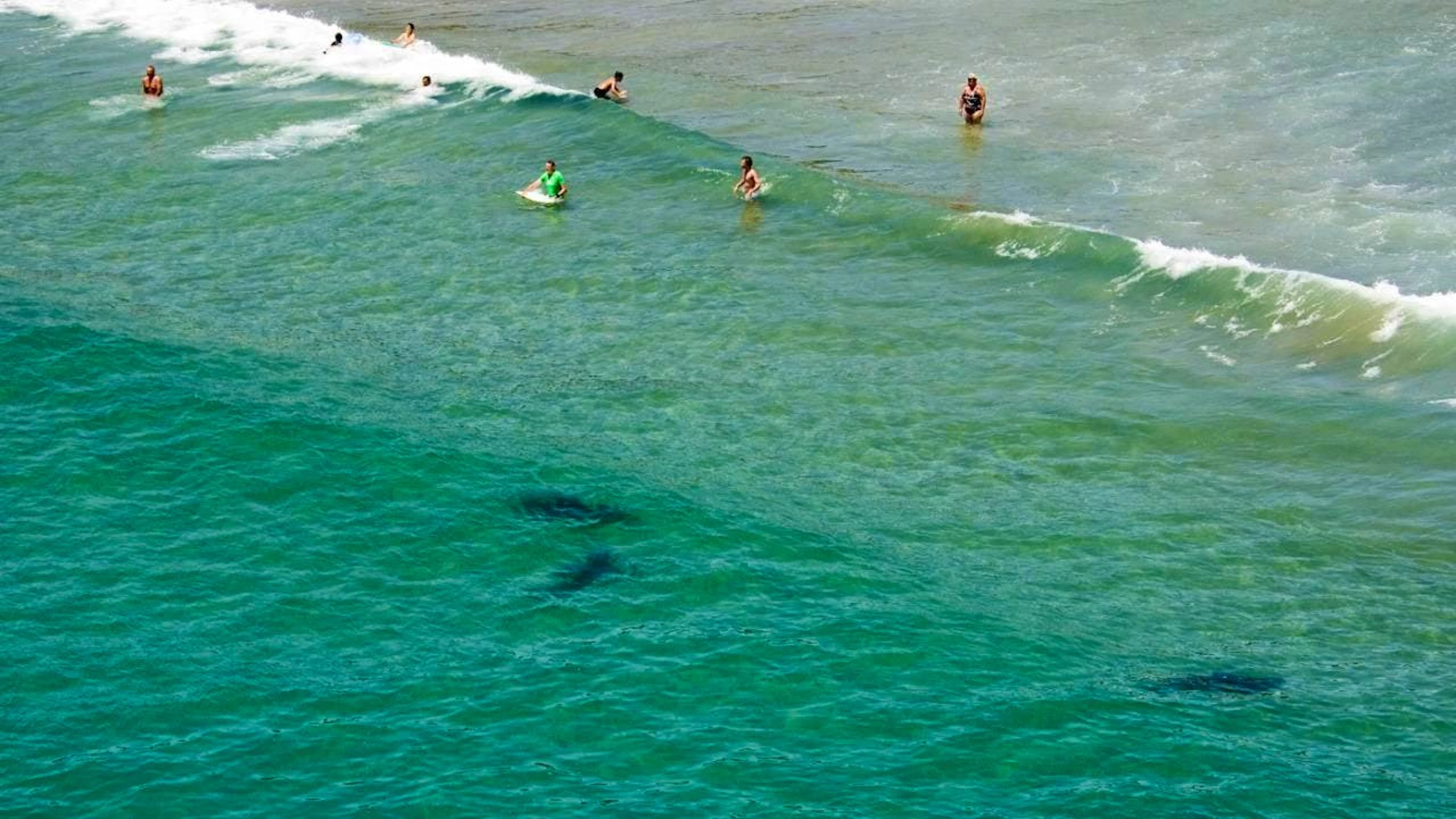 Bagno in mare fatale per una giovane svizzera in Australia.