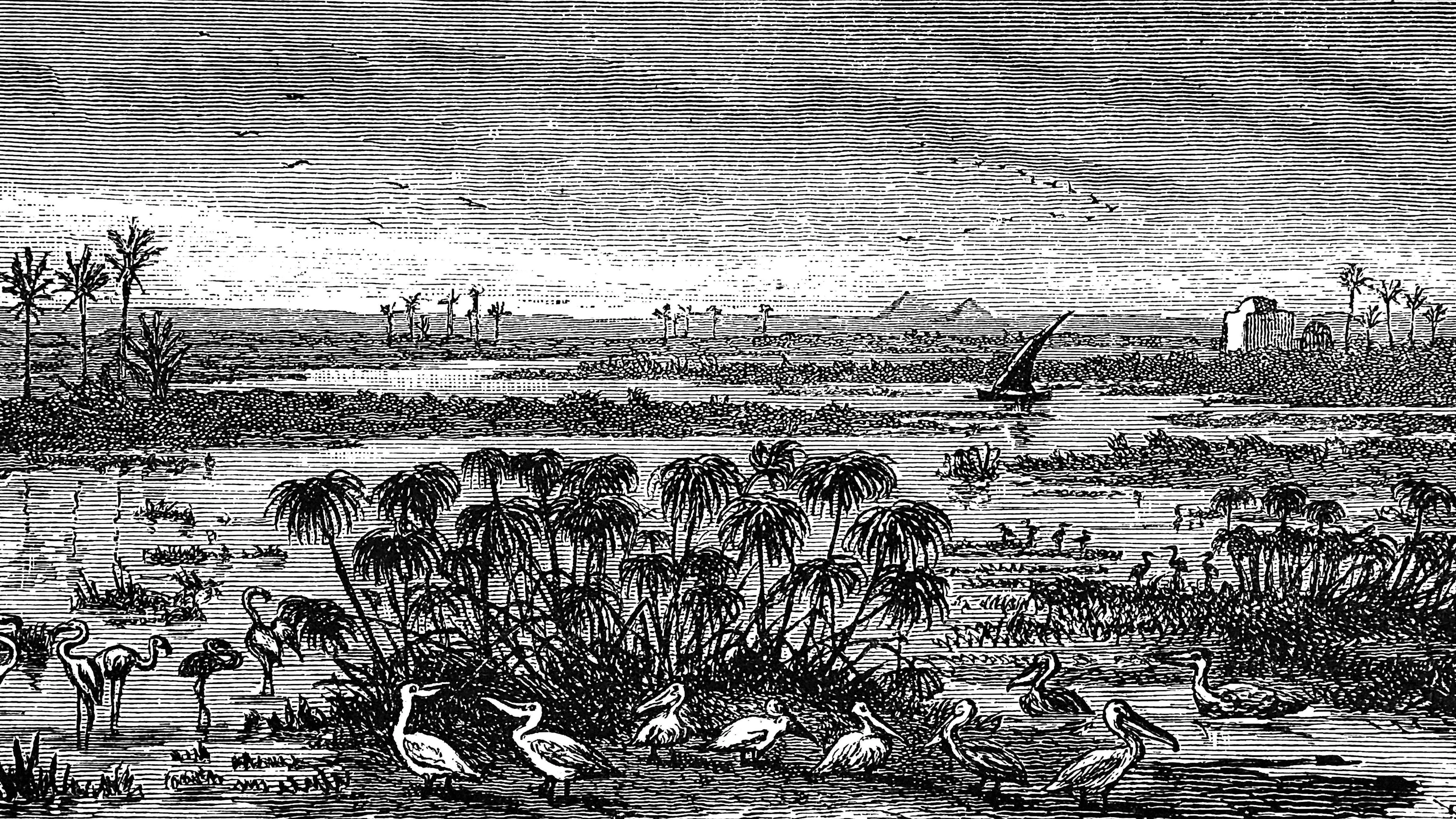 Historischer Stich aus dem Jahr 1885. Während der jährlichen Nilflut stand das Delta oft grossflächig unter Wasser – nur einzelne Sandrücken, im Fachjargon «Turtlebacks» genannt, blieben trocken. Auf denen errichteten die alten Ägypter ihre Siedlungen.