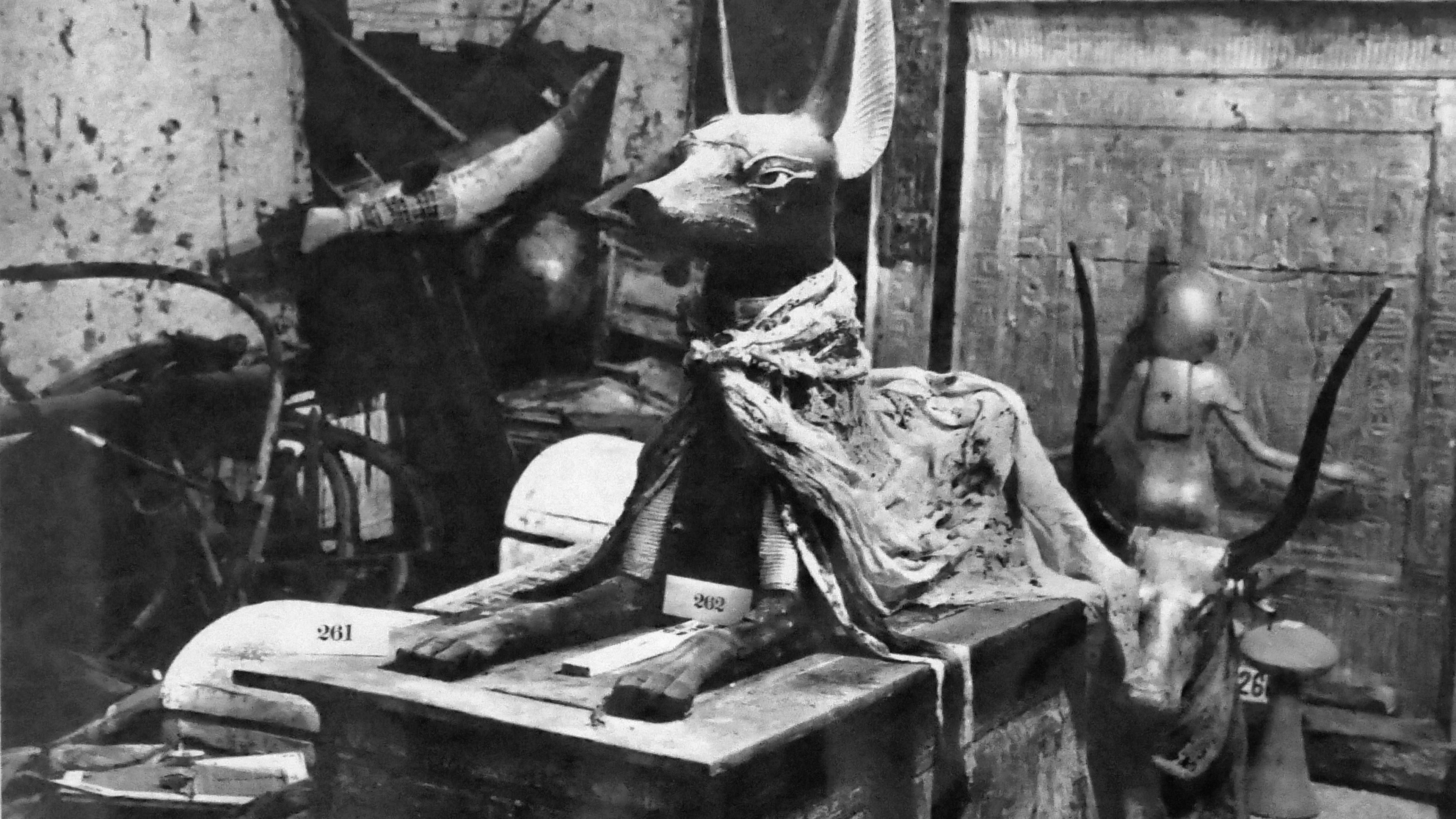 Diese Aufnahme vom November 1922 zeigt einen Teil der Grabbeigaben Tutanchamuns. Selbst organische Materialien wie Stoffe oder Opferspeisen haben die Zeit relativ unbeschadet überstanden.