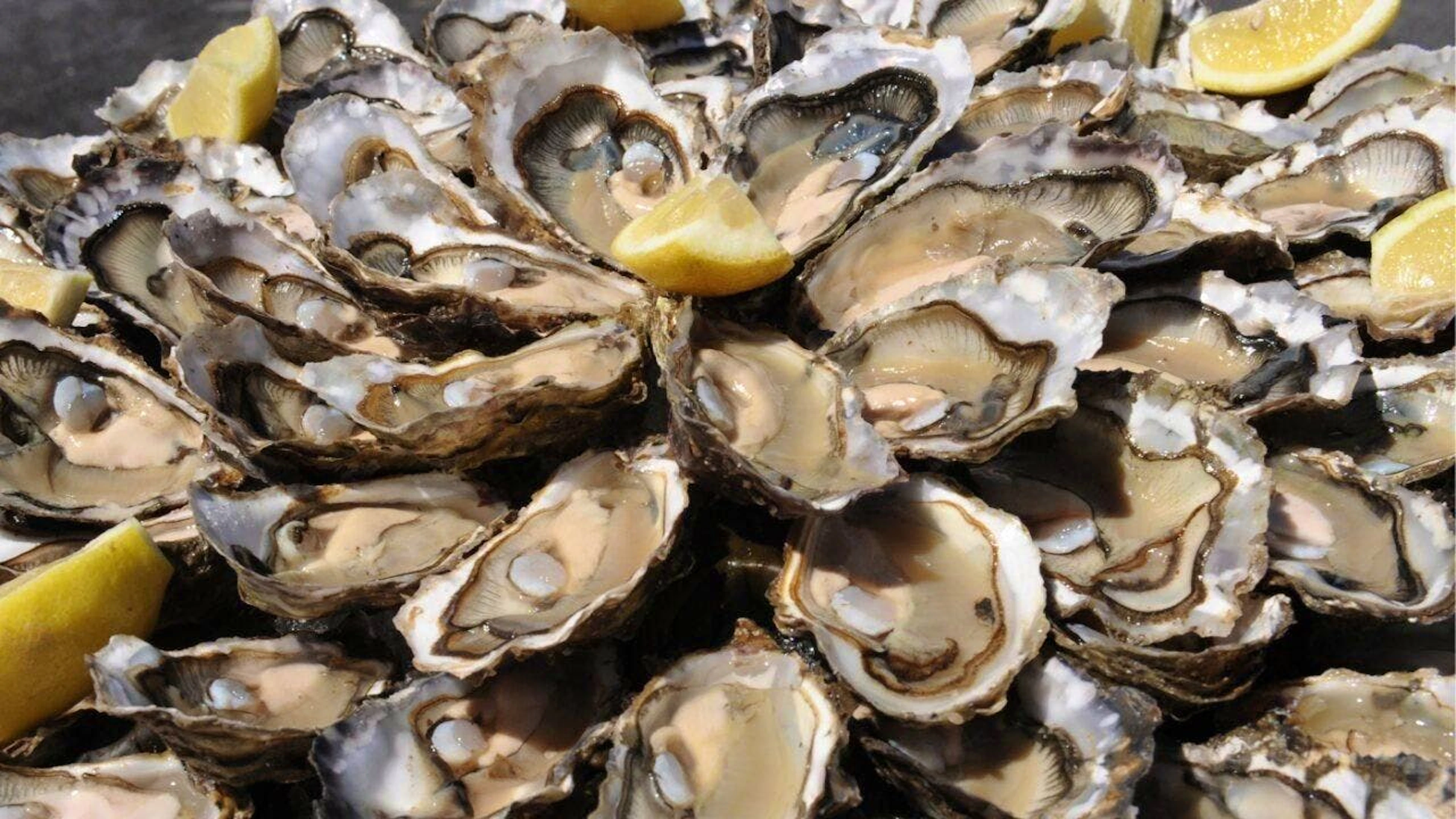 Un francese fermato a una dogana ginevrina con 127 chili di ostriche non refrigerate e non dichiarate correttamente. La merce, destinata ai mercatini di Natale, è stata sequestrata e portata al macero. (immagine d'illustrazione)