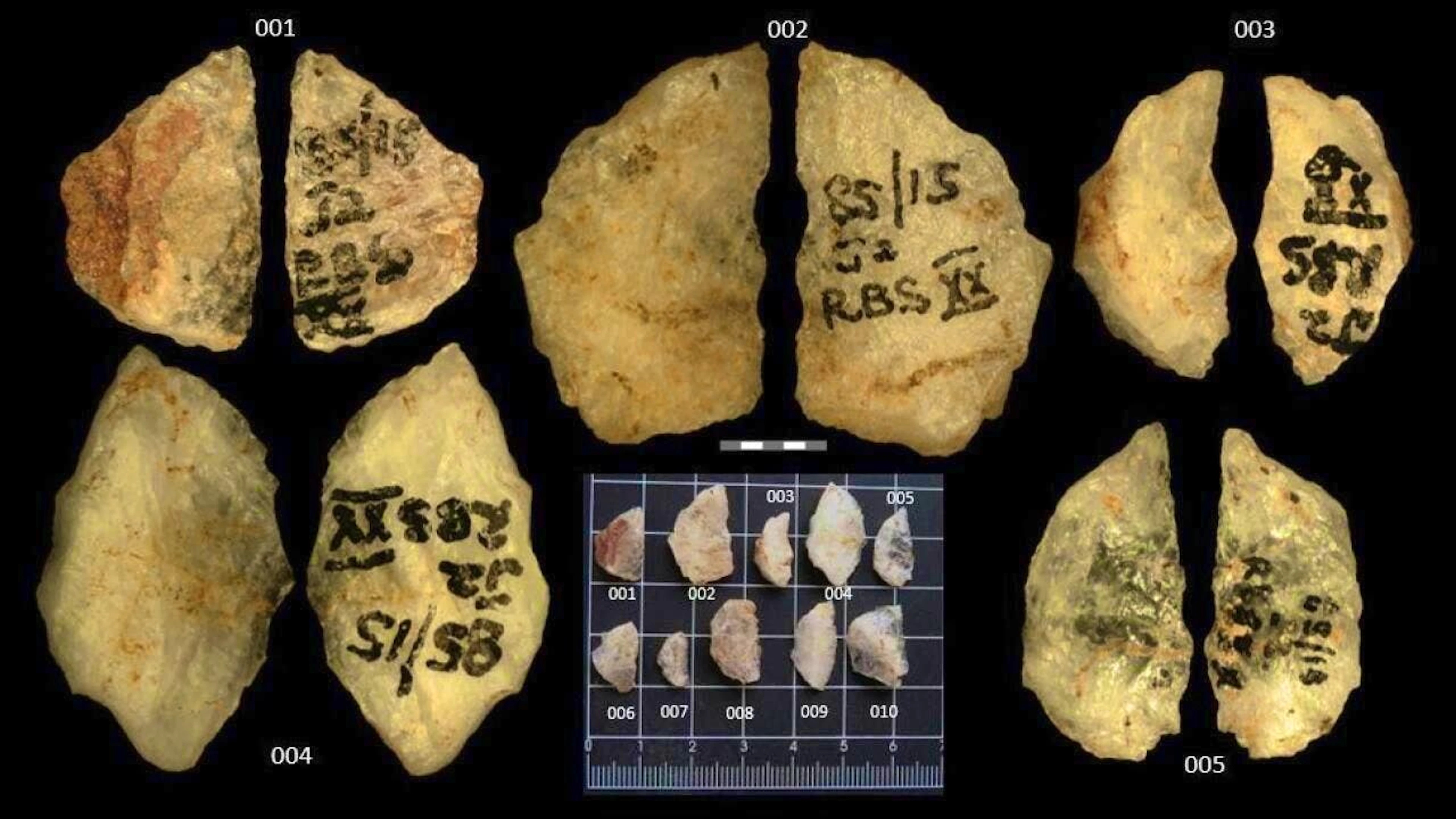 Researchers in South Africa have discovered 60,000-year-old poisoned arrows.