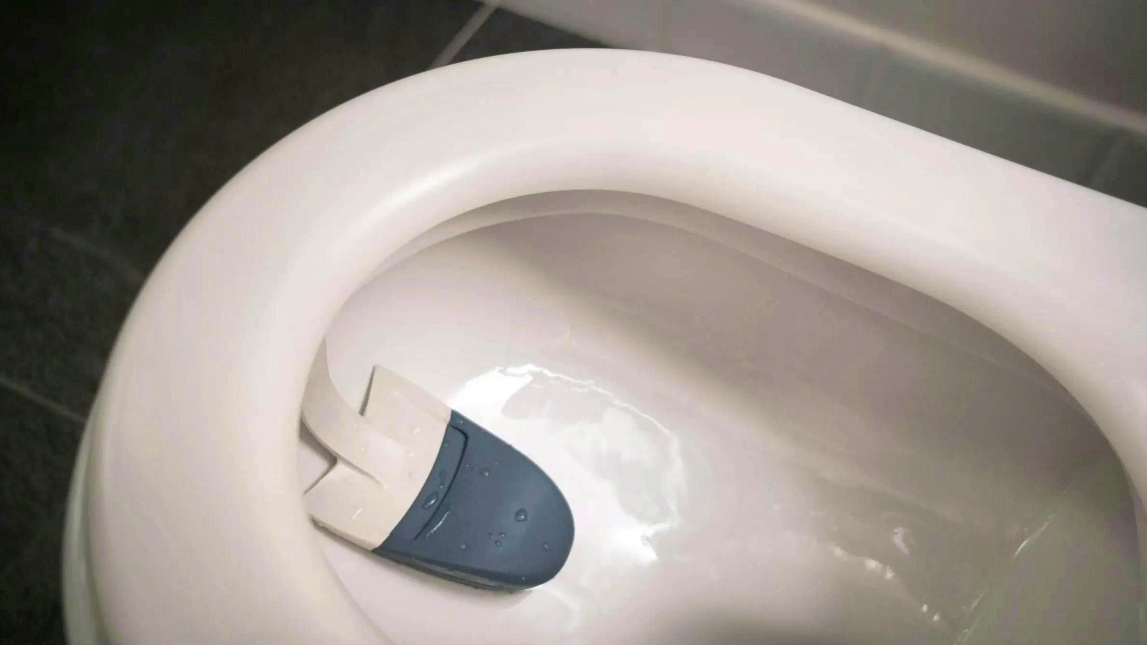 Ecco come viene appeso il gadget nella toilette.