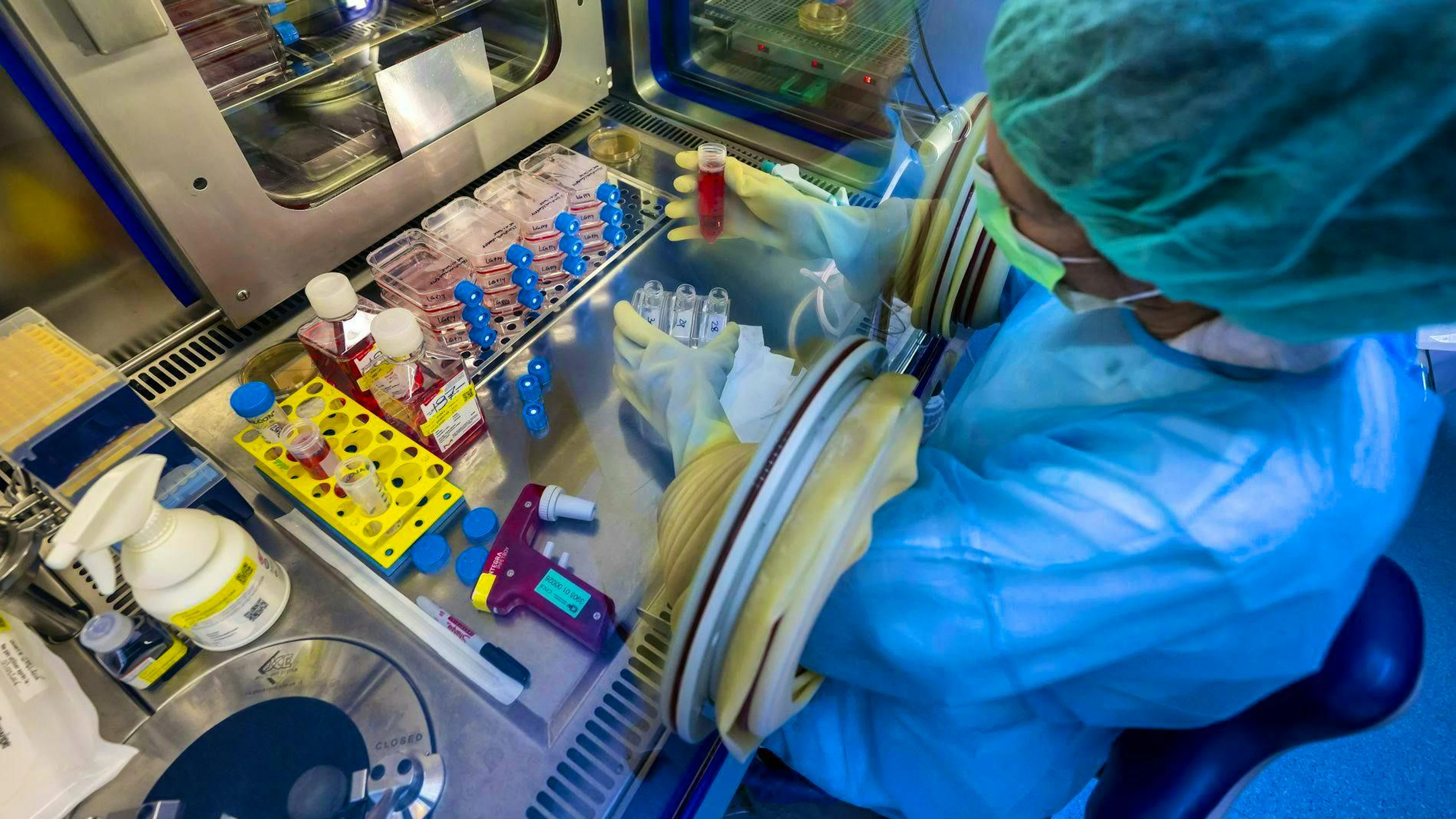 The laboratory specializes in the production of body tissue for severely burned patients.