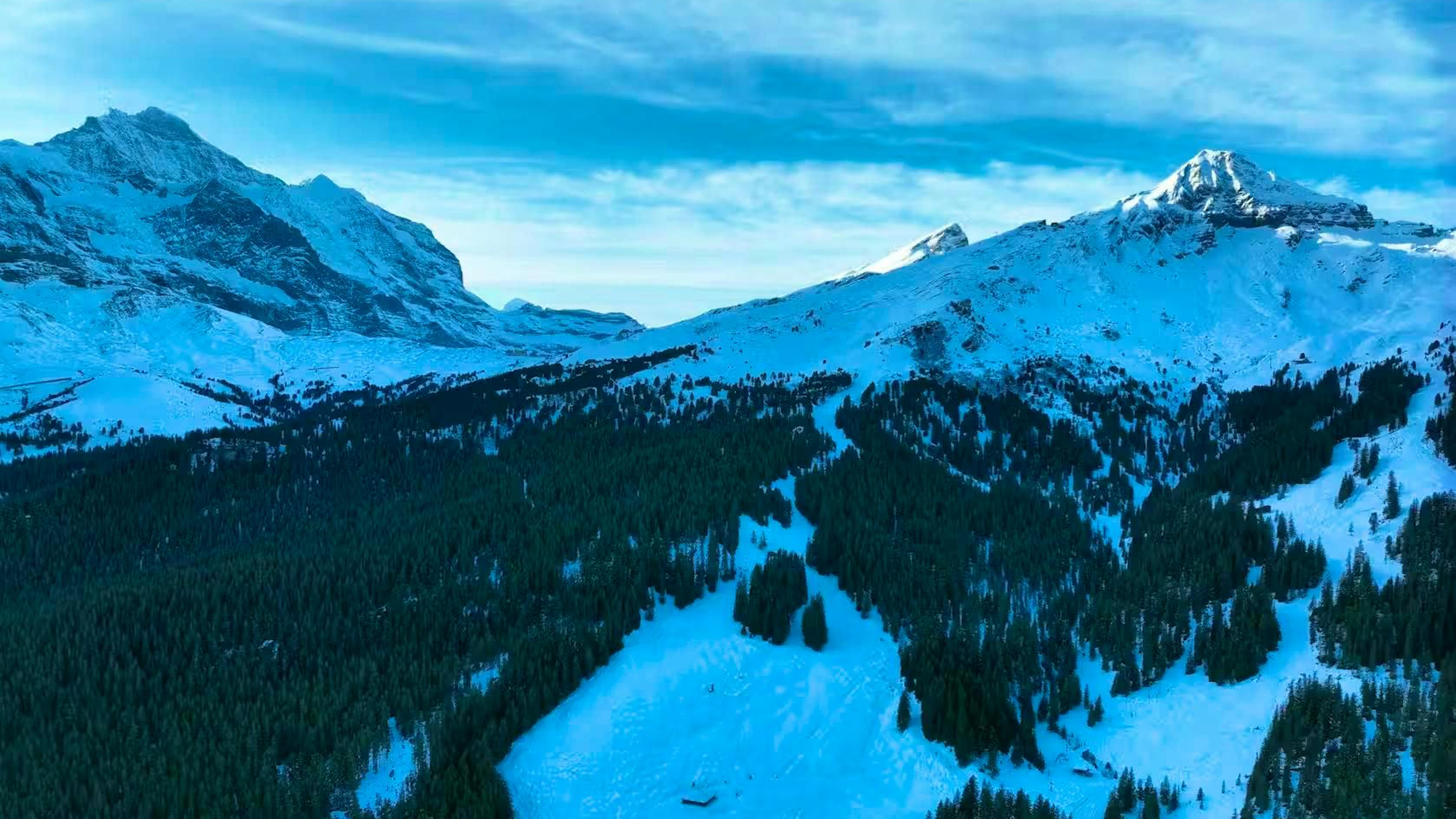 The skier died at the scene of the accident.