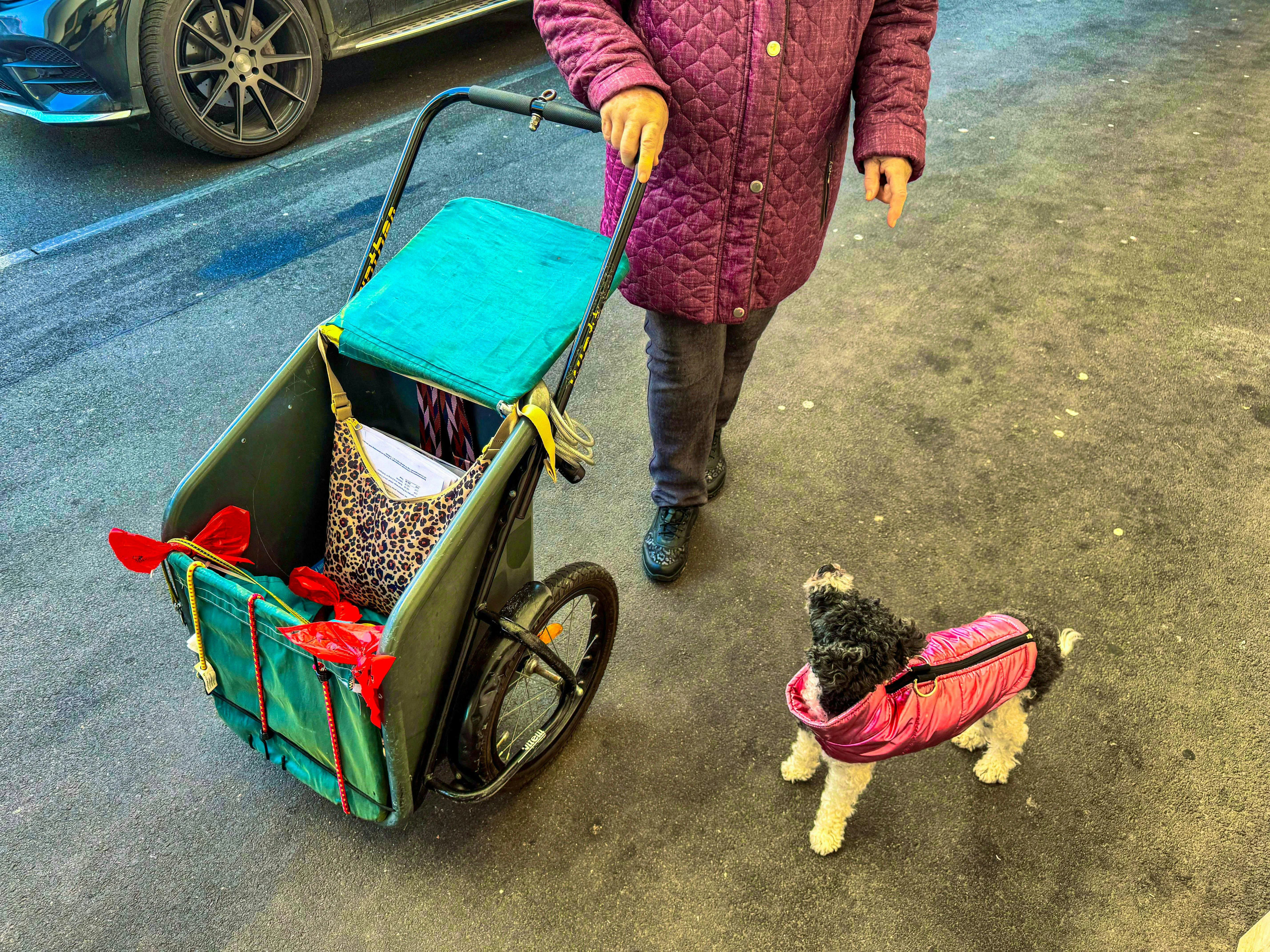 The pensioner appeared on Monday with her poodle in a partner look.