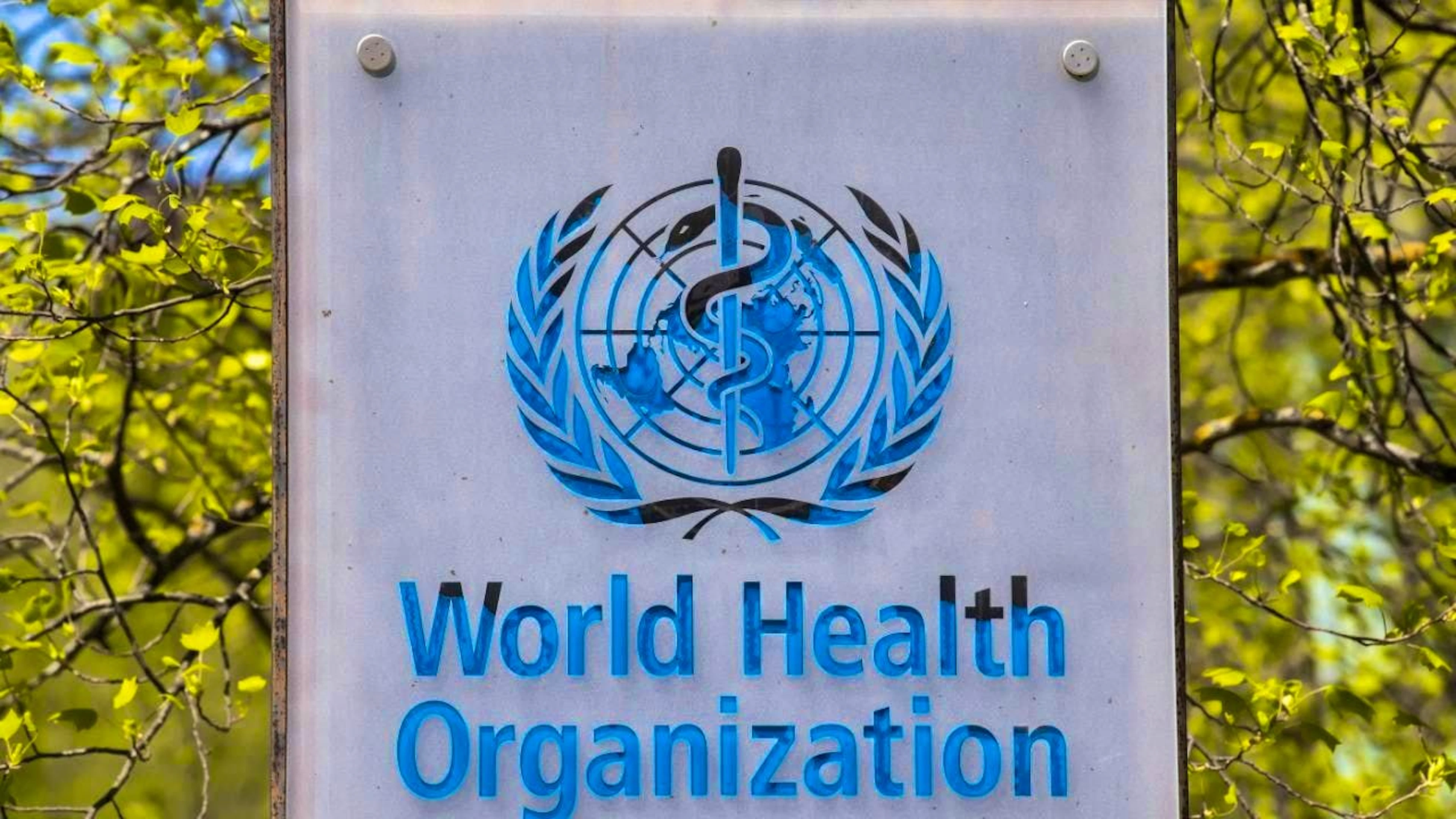 For a year, the World Health Organization (WHO) has reacted diplomatically to accusations from the USA. Now it is putting aside its reticence. (archive picture)
