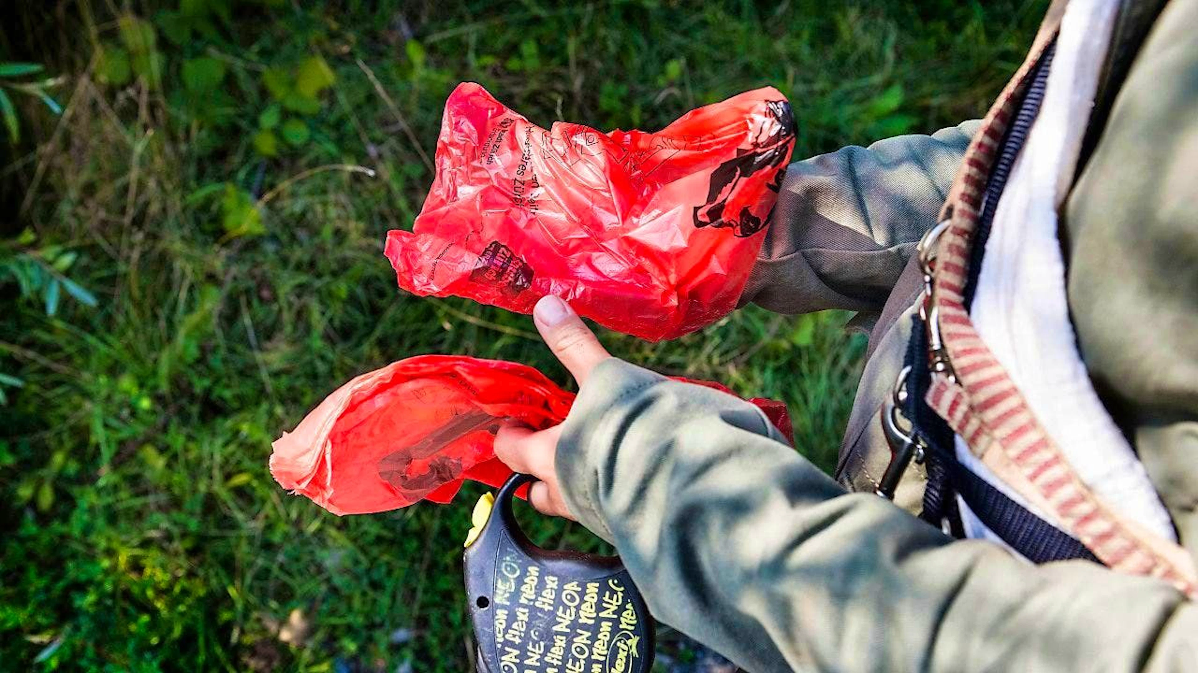 An appeal to pet owners: clean up your pets' droppings.