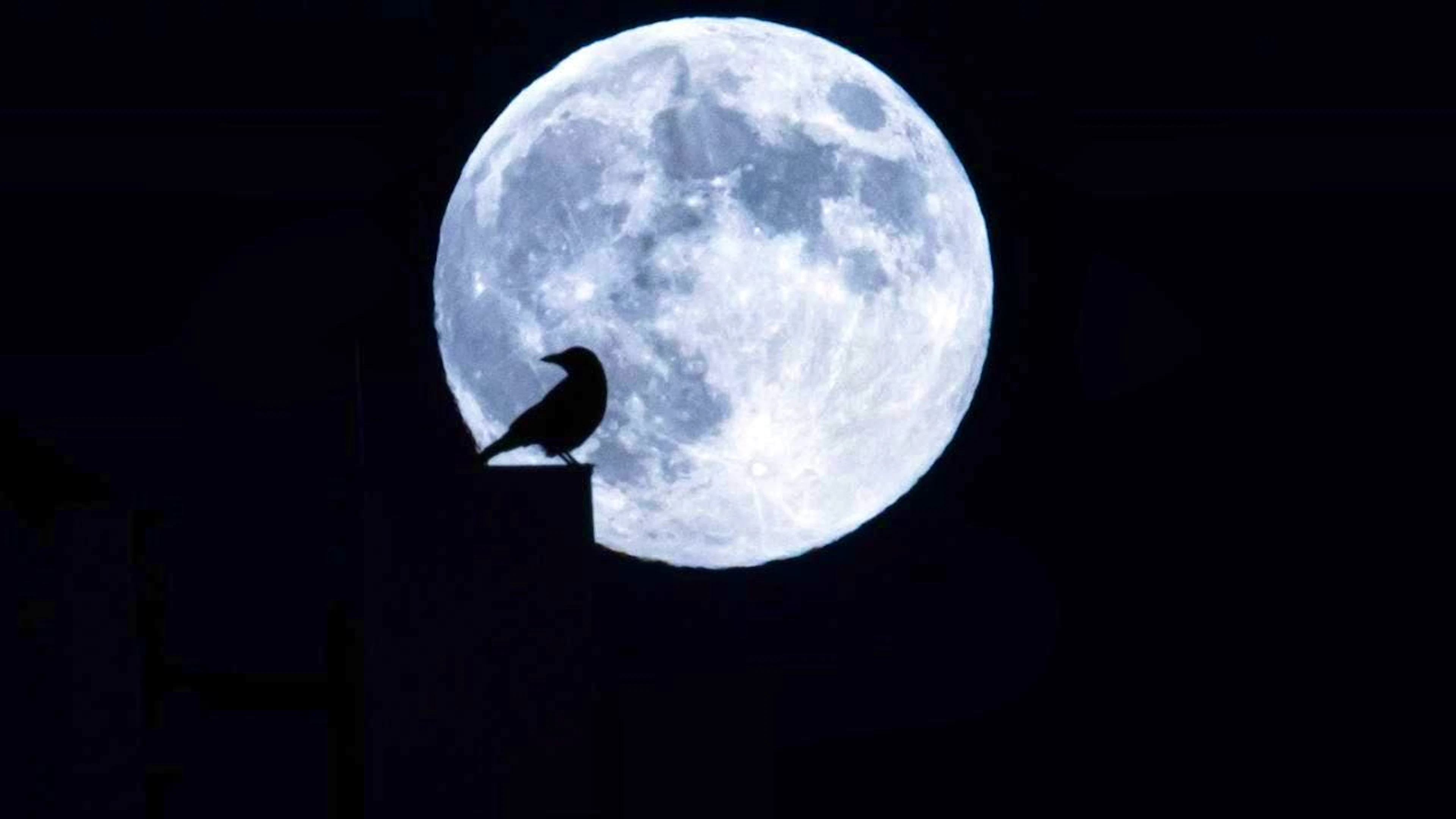 According to a study, night owls often lead unhealthier lives. The good news is that some of this can be changed - even without going to bed earlier. (archive image)