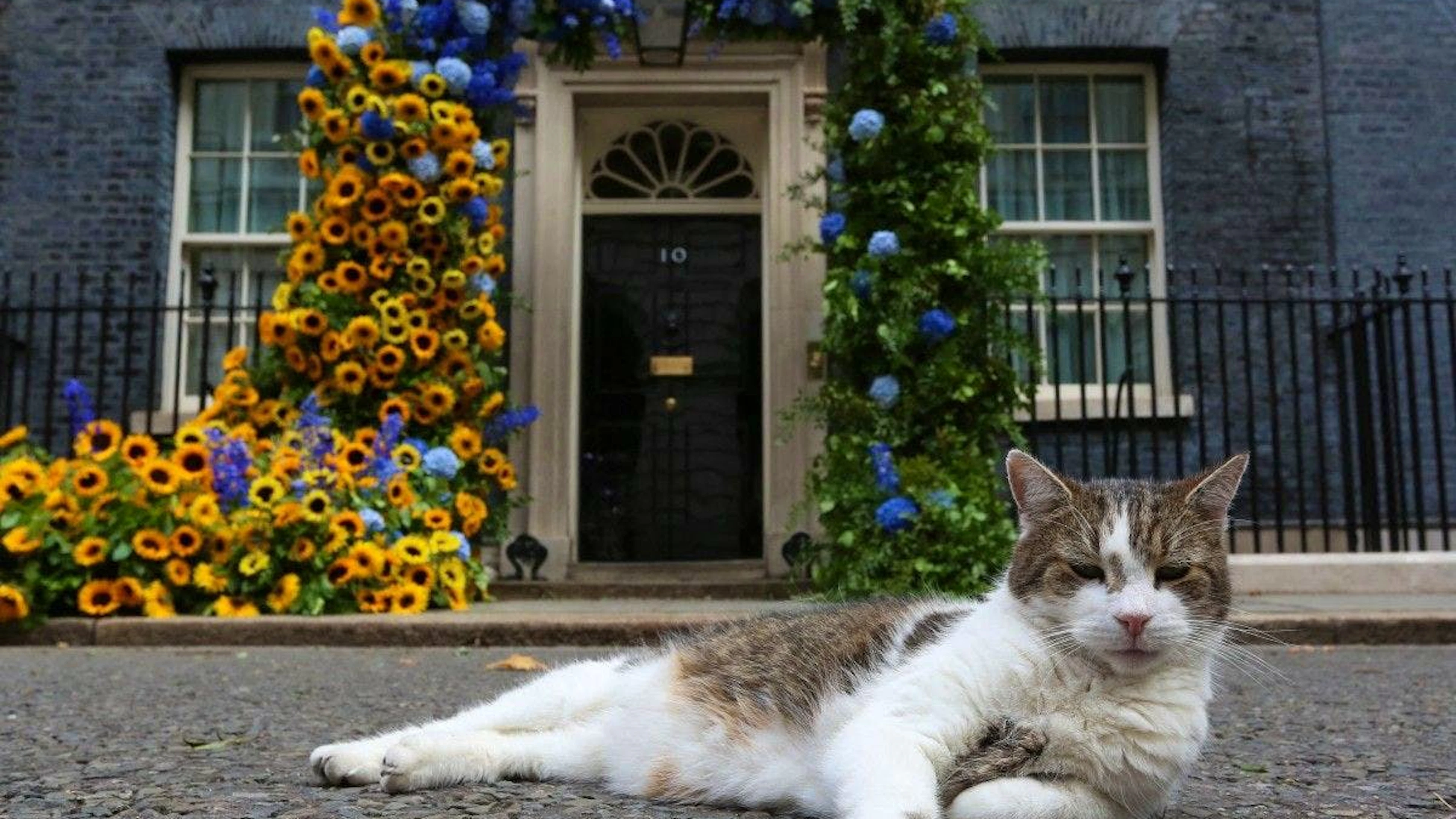 Depuis 2011, Larry a vu se succéder les Premiers ministres (photo d’archives).