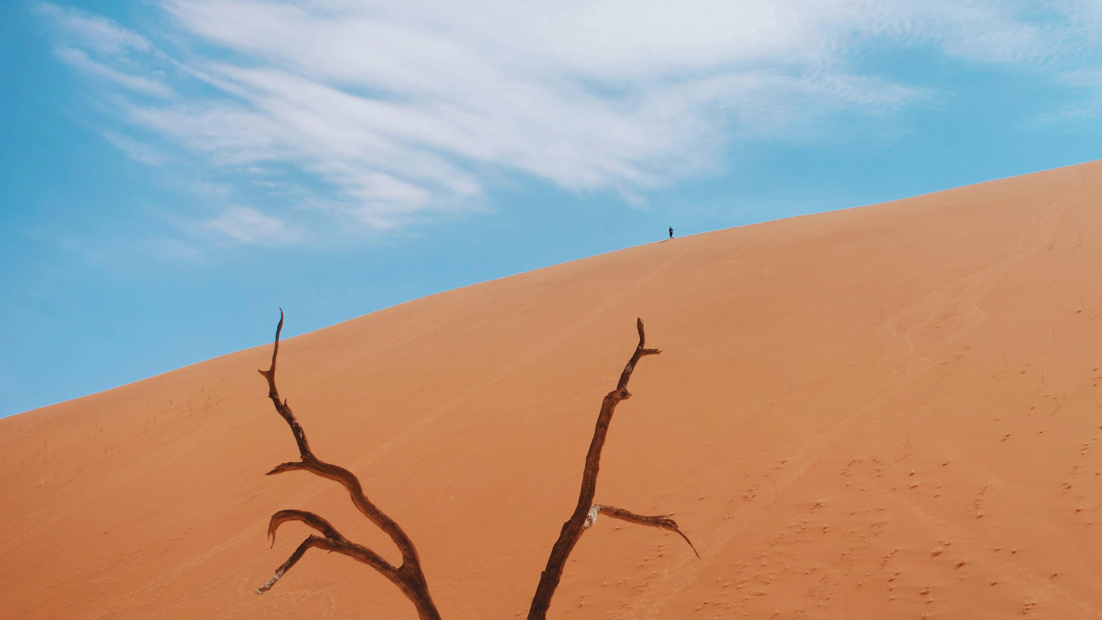 Die ausgetrockneten Bäume in Deadvlei sind die bekannteste Touristenattraktion Namibias.