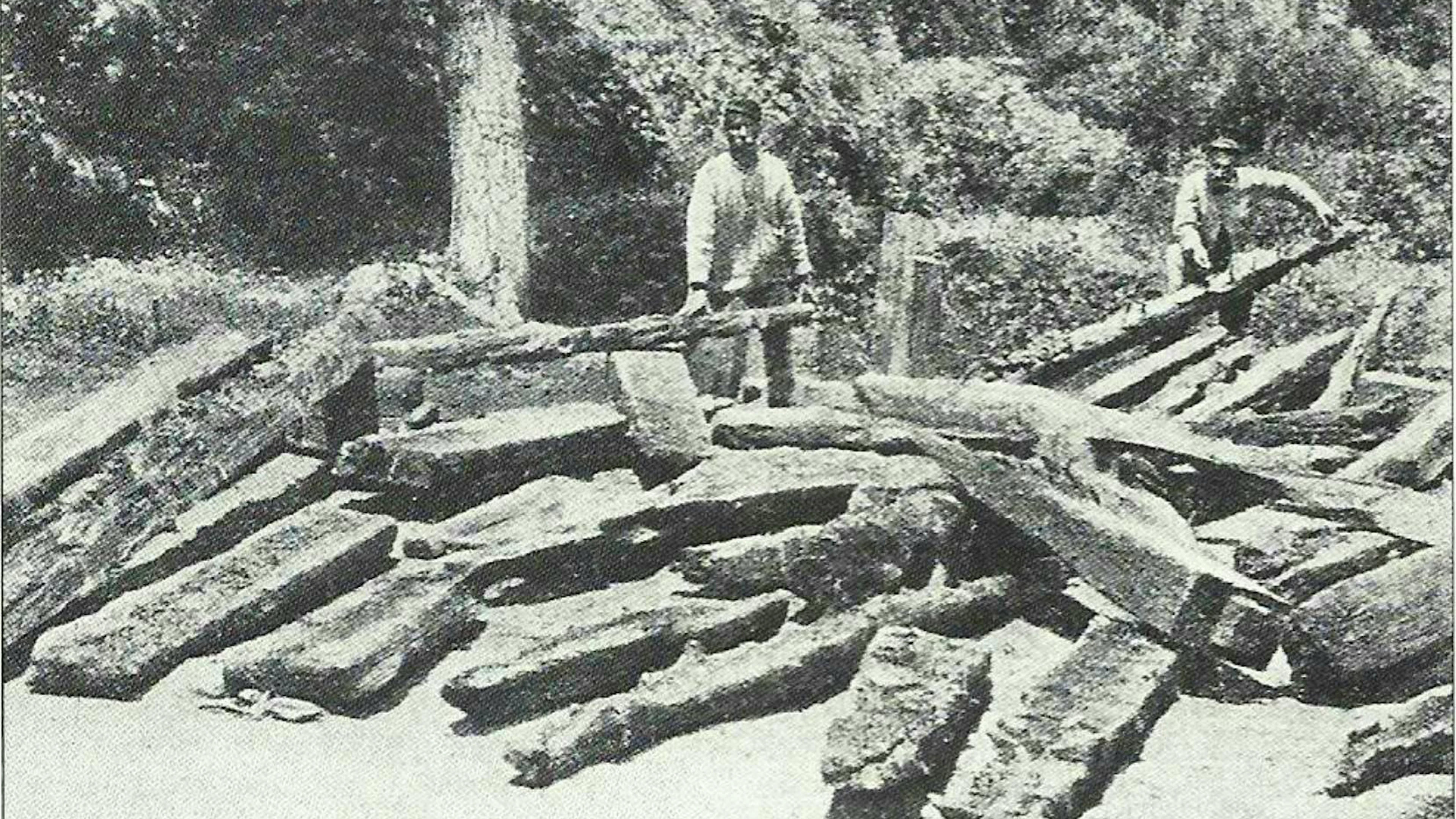 Legname strappato dal lago di Nemi da Eliseo Borghi: alla fine dell'Ottocento, l'antiquario fece recuperare parti delle navi affondate, ma molte travi andarono irrimediabilmente perdute.