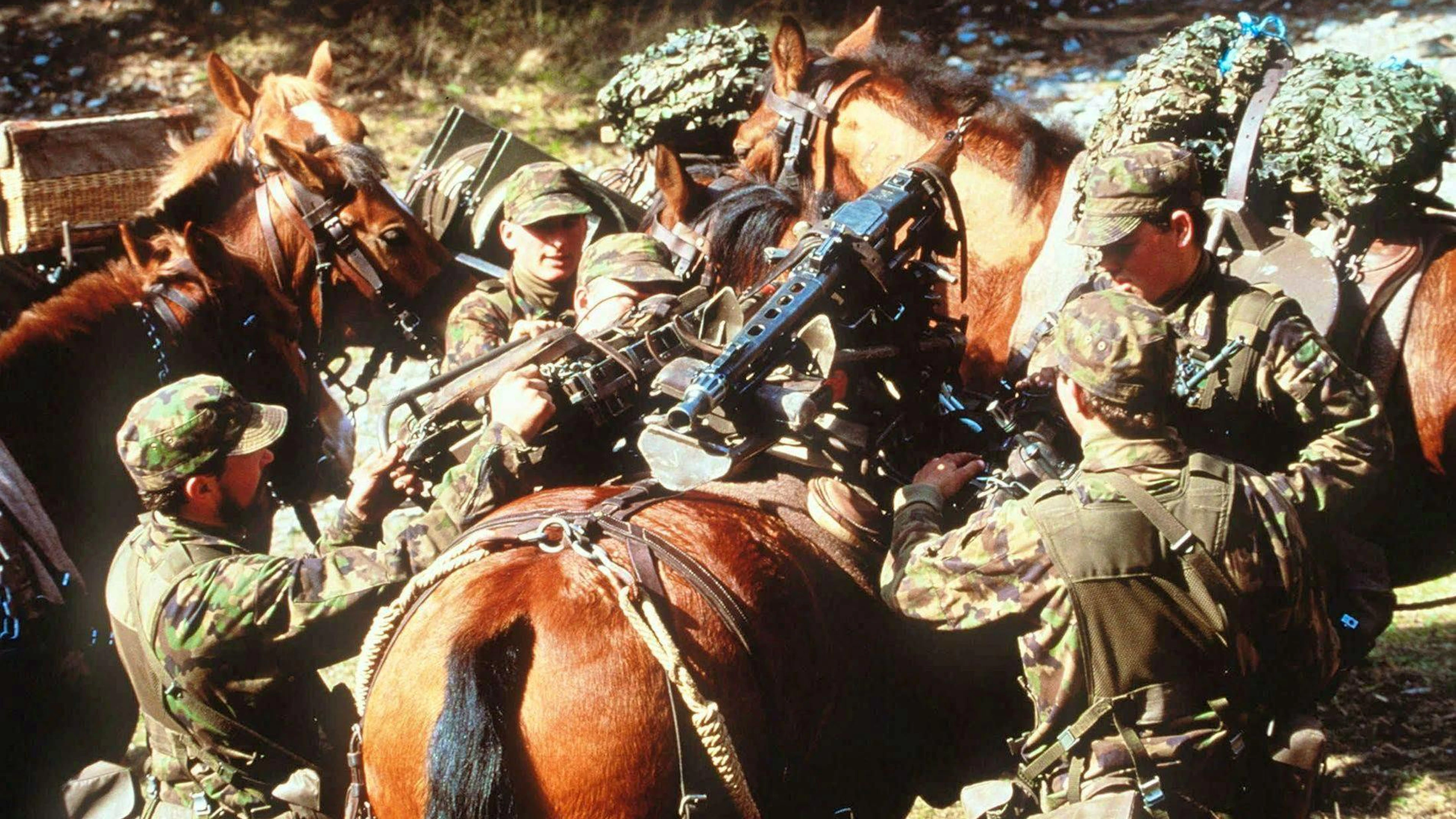 In 1994, the Swiss army had logistics troops that worked with horses.