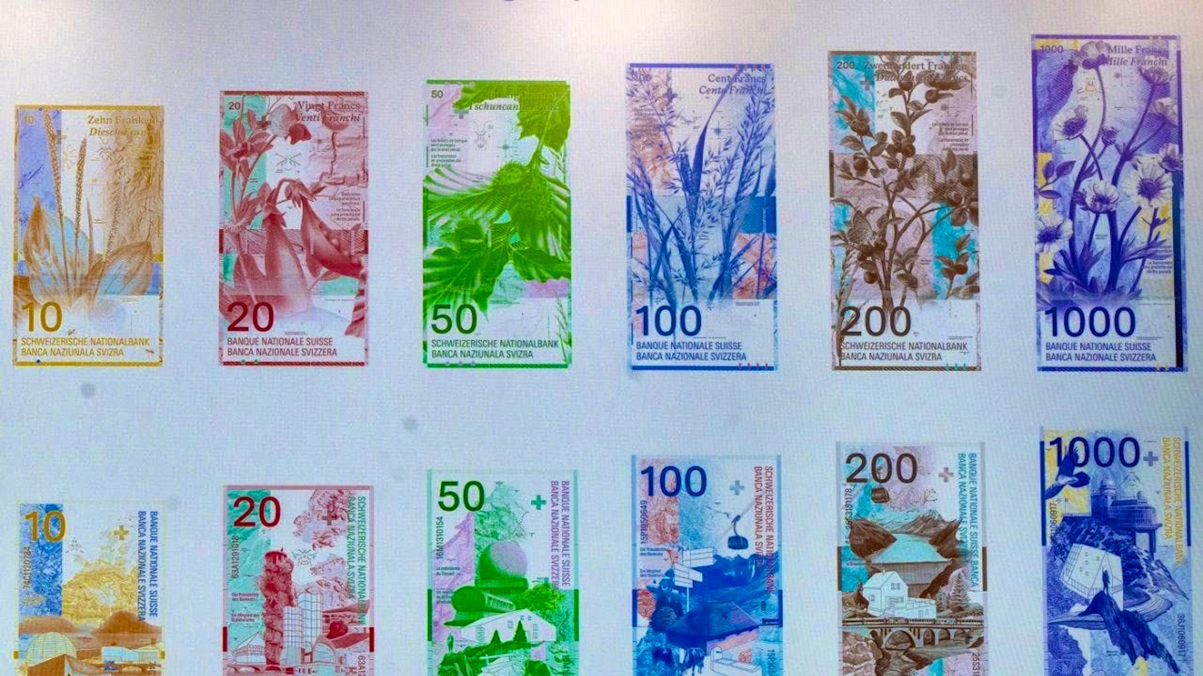 To the right of the denomination, fossils will serve as watermarks on the new banknotes.