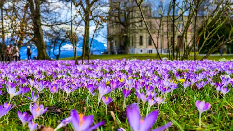 Spring is starting earlier and earlier