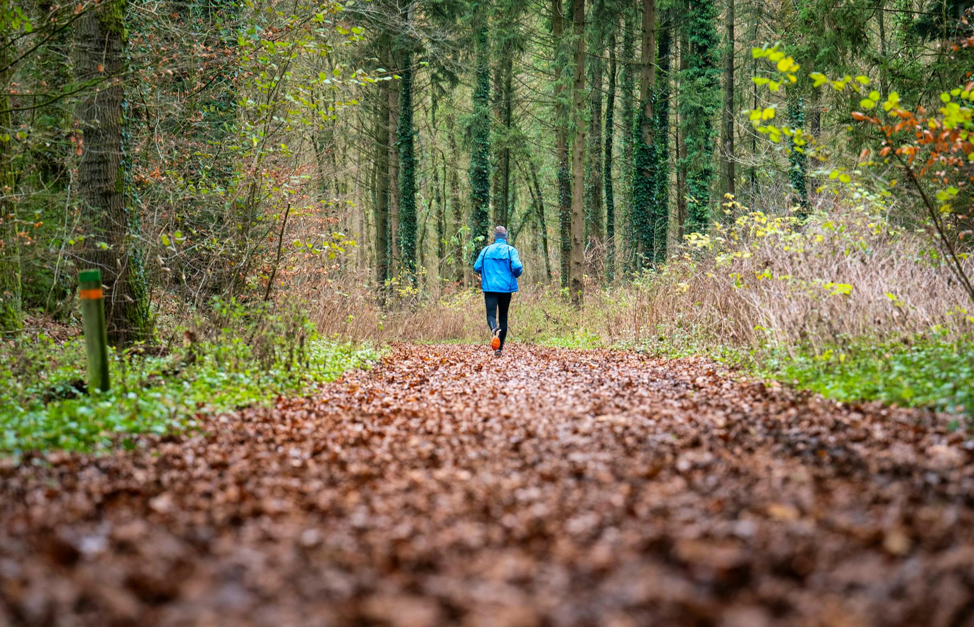 7 Tipps, wie du auch in Krisenzeiten psychisch stabil bleibst