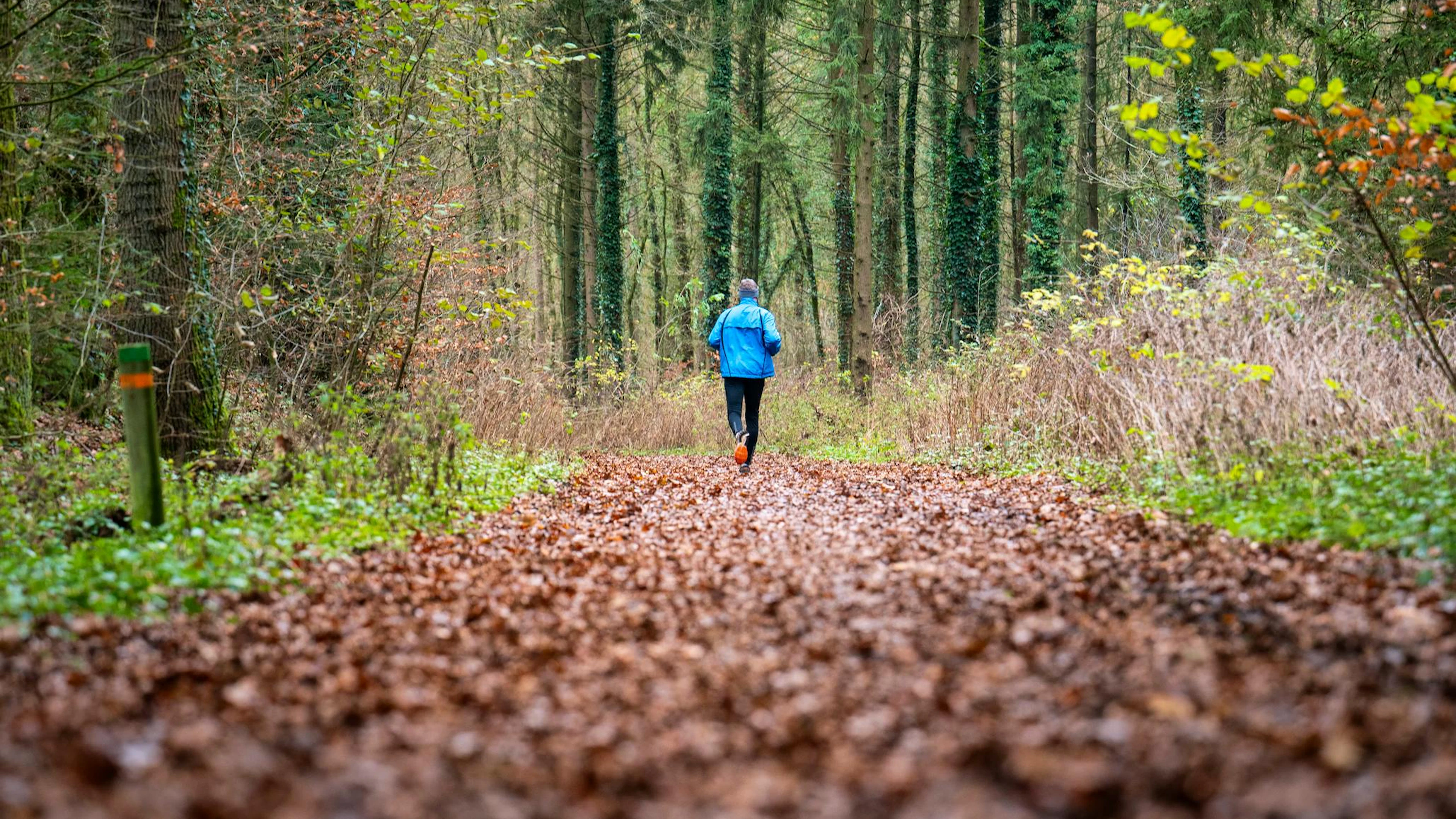 Nicht nur physische Aktivitäten wie Joggen in der Natur, sondern auch Verhaltensstrategien können die mentale Gesundheit verbessern.