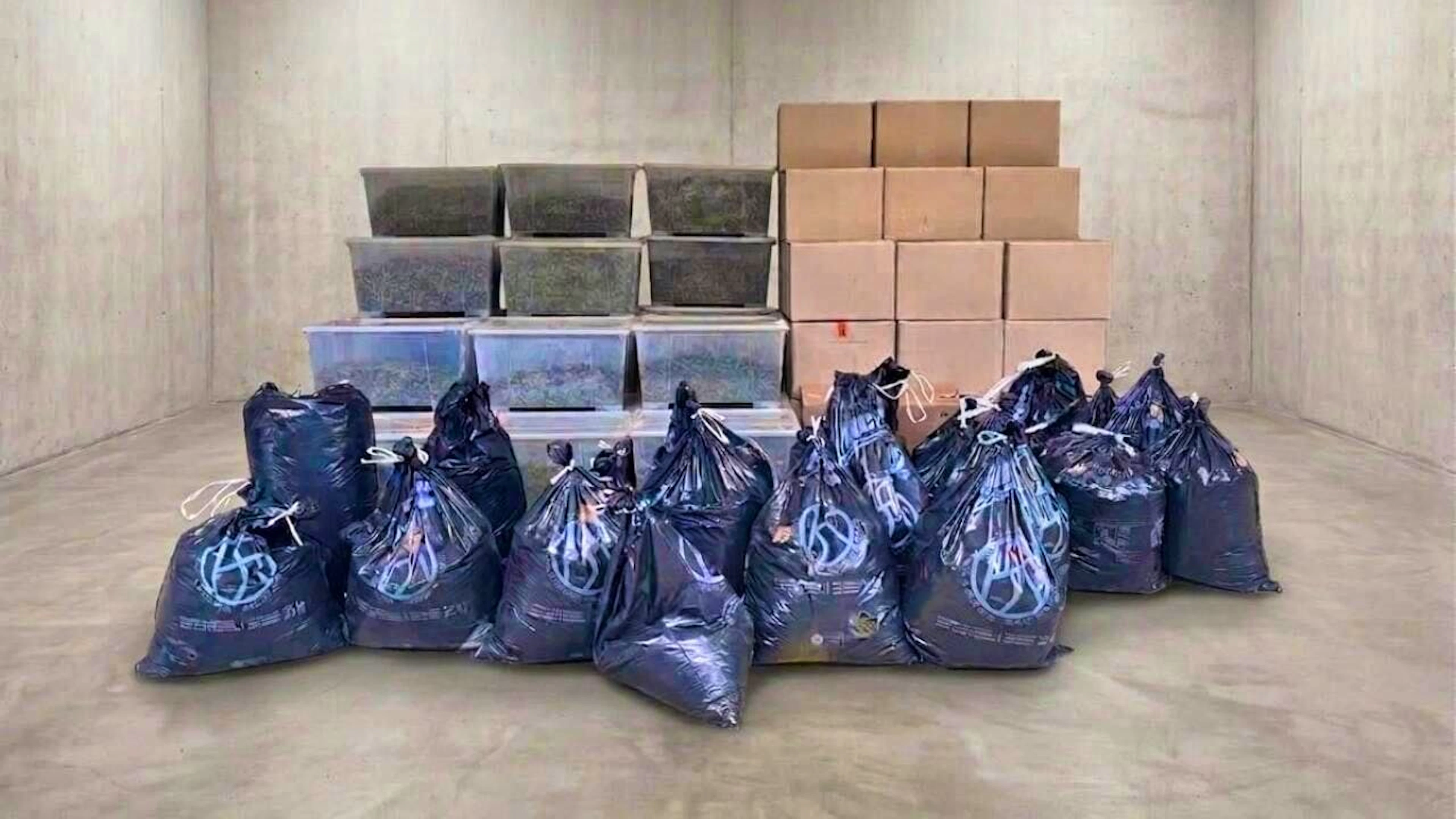 Police seized a tonne of cannabis in the indoor plant in Spreitenbach in the canton of Aargau.
