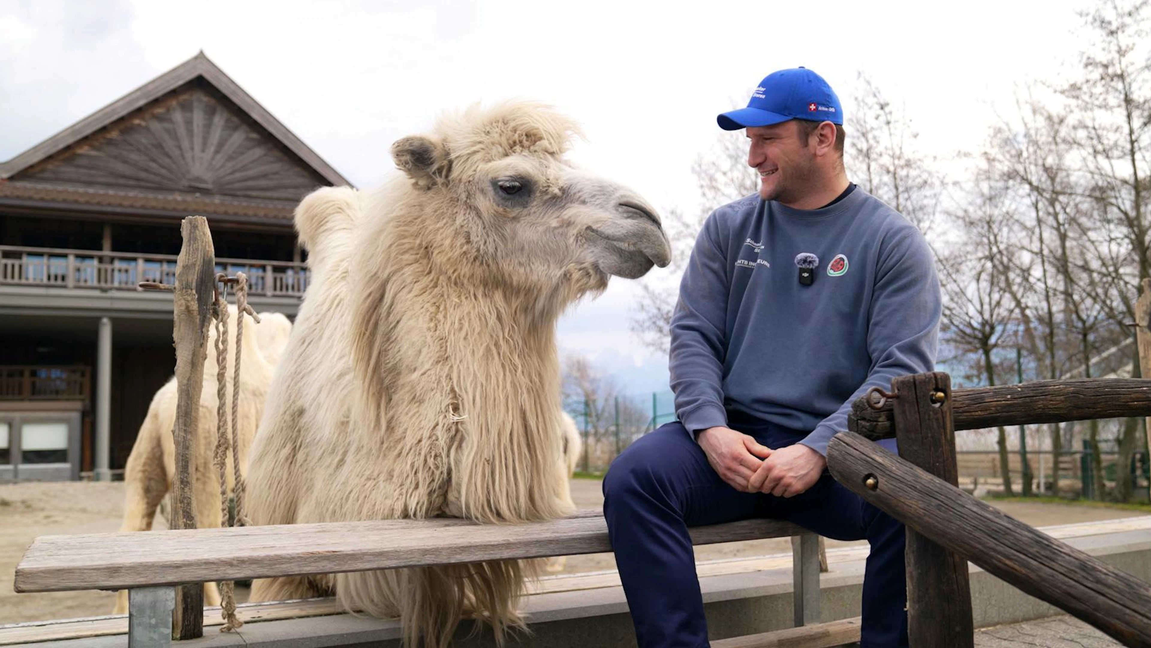 «Ein guter Schwinger muss Elefant und Stier gleichzeitig sein»