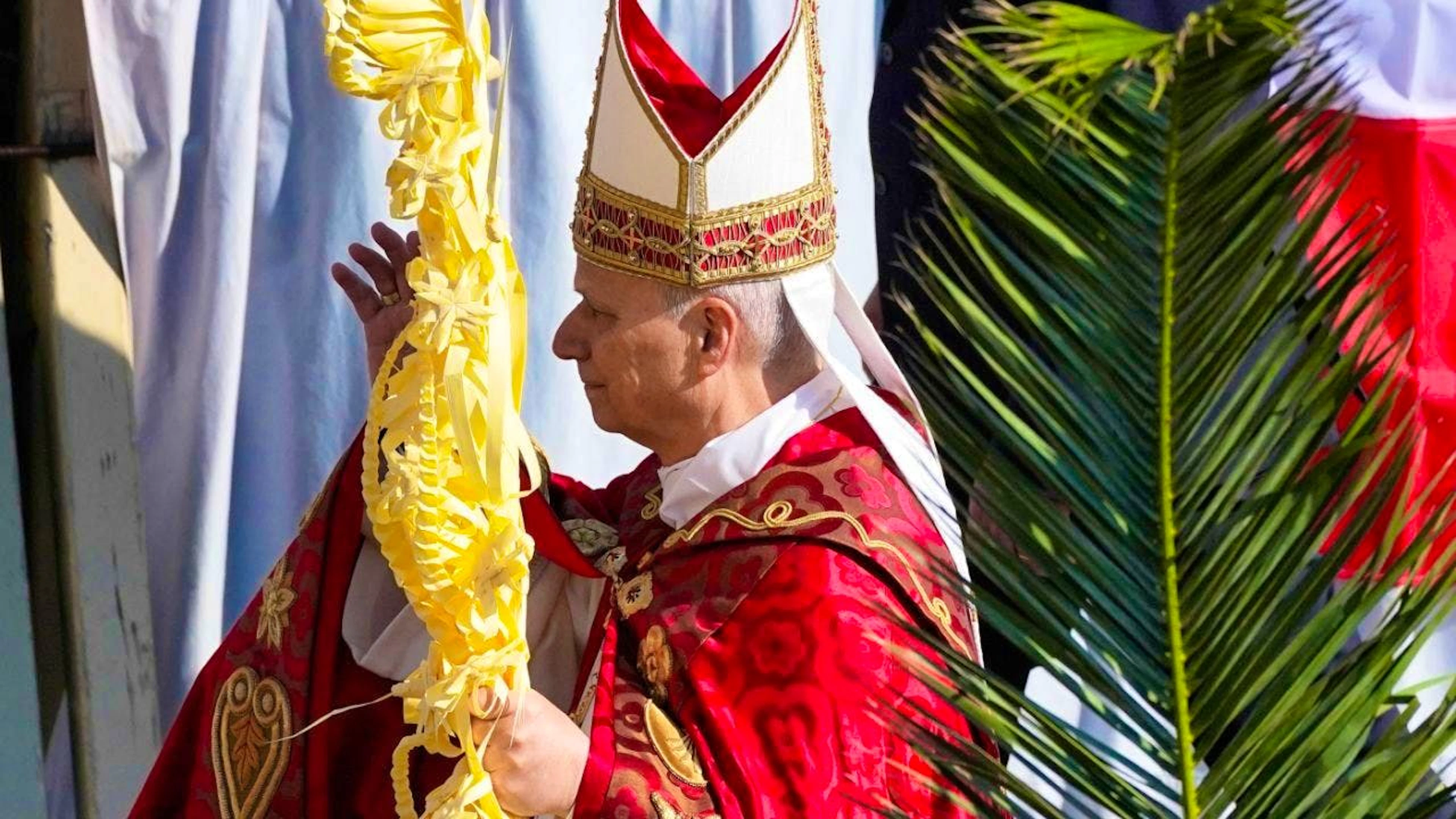 Pope Leo XIV presides at Mass in St. Peter's Square in the Vatican on Catholic Palm Sunday. Photo: Alessandra Tarantino/AP/dpa