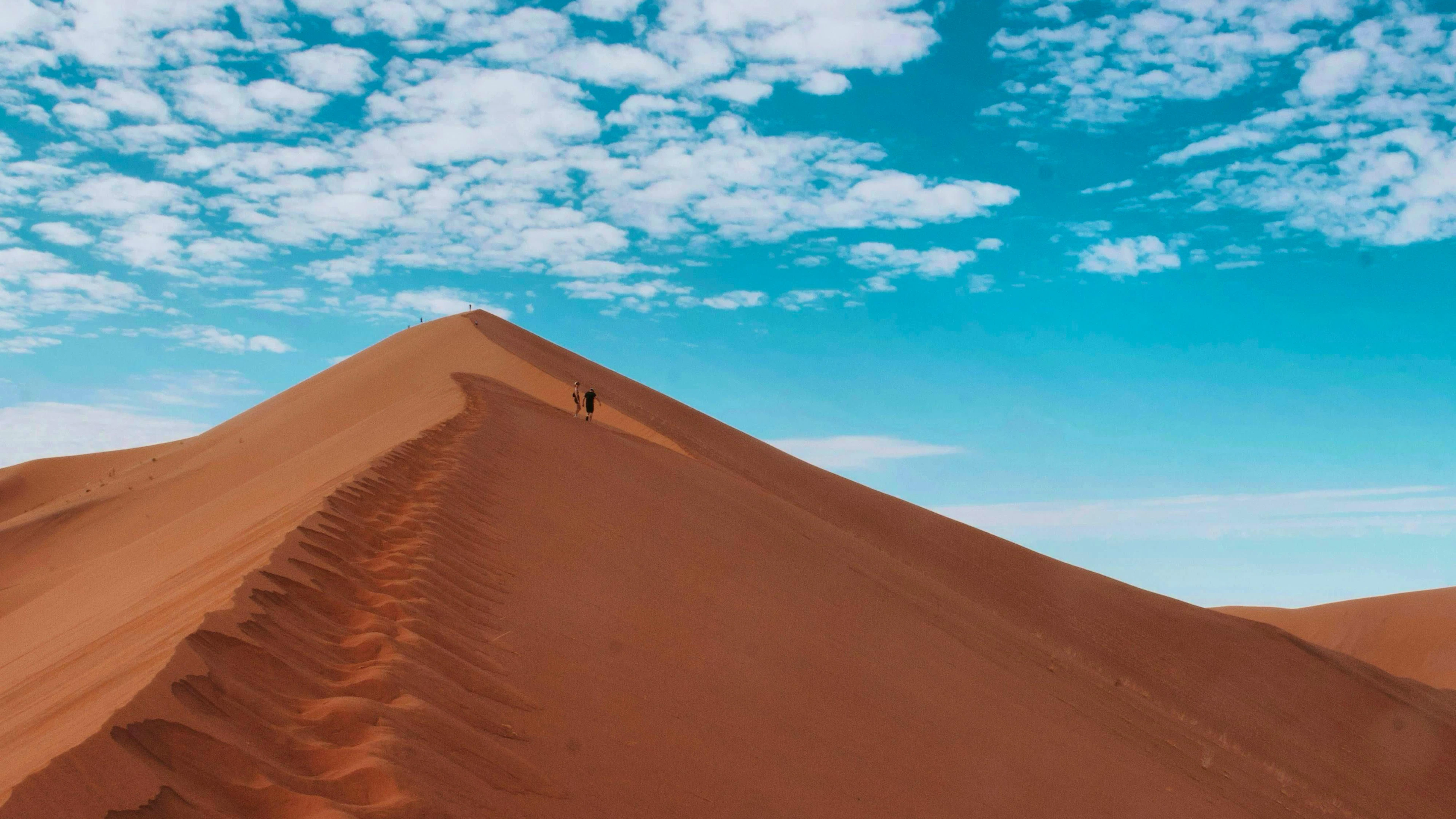 The "Big Daddy" dune is one of the highest dunes in the world and one of the few that can be climbed on foot in the Namib Desert.