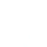 Videos icon