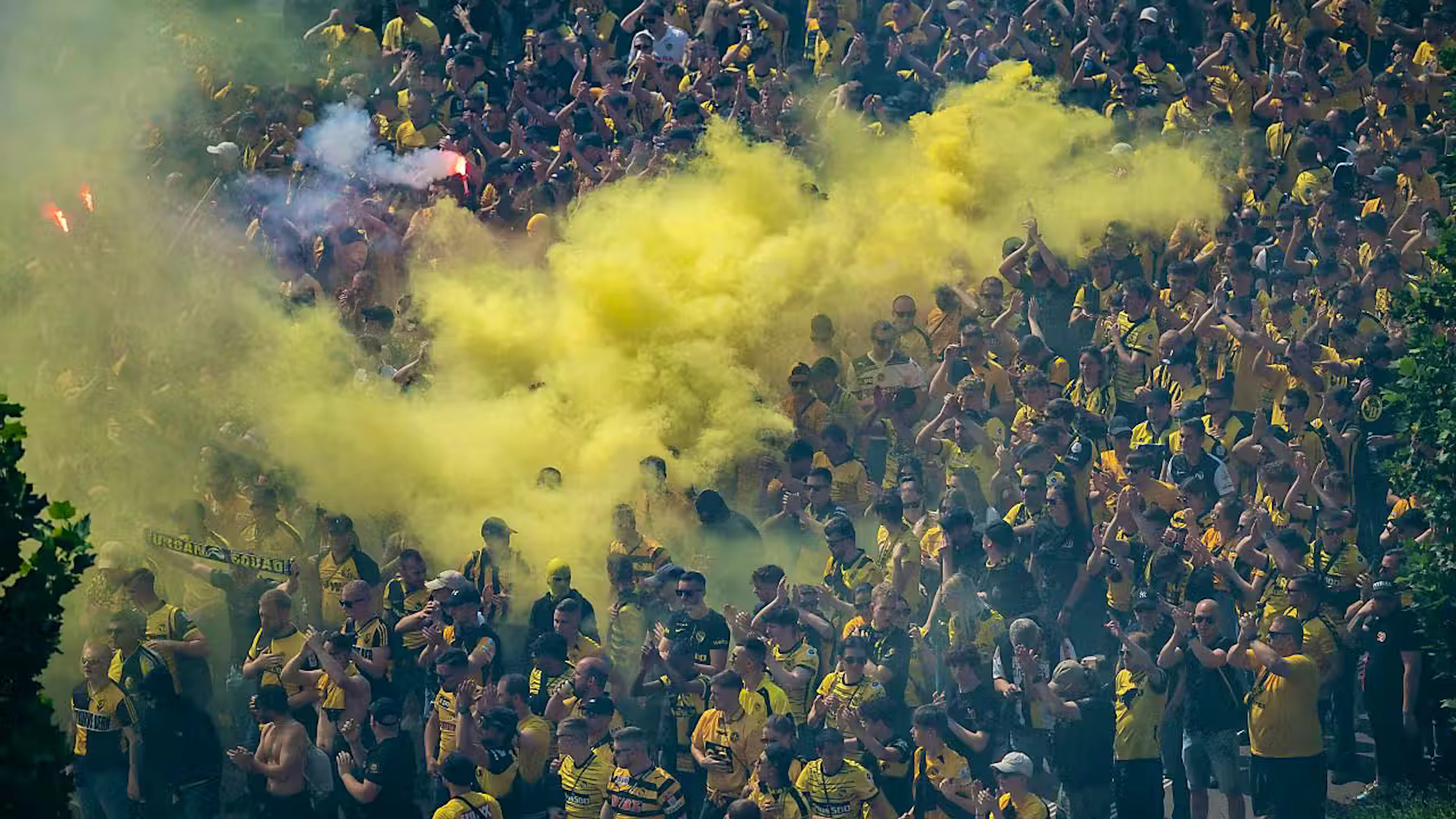 BSC Young Boys