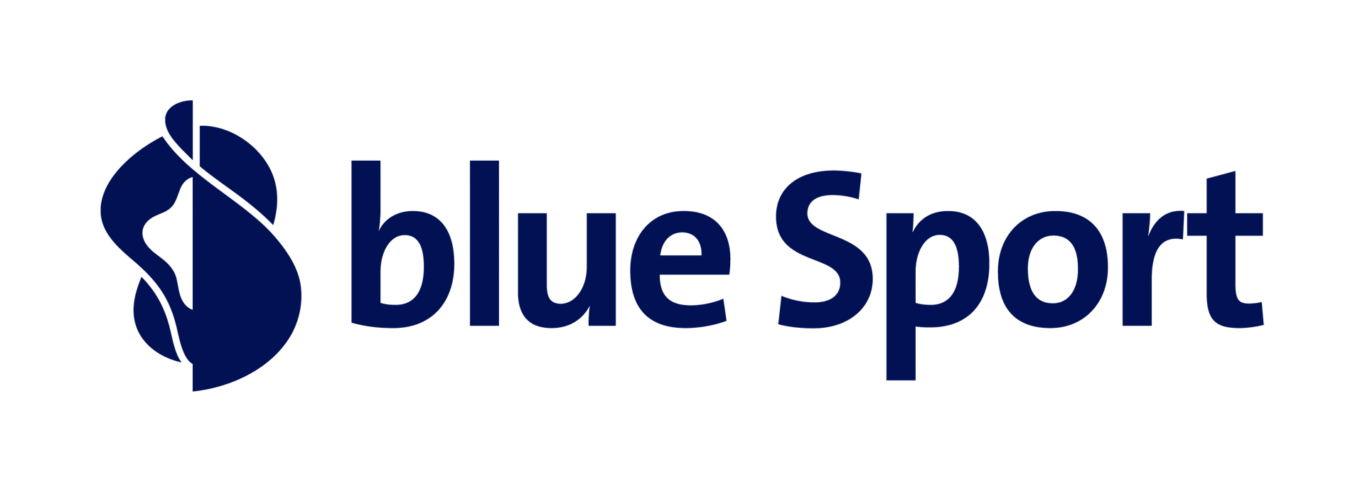 Sponsor logo