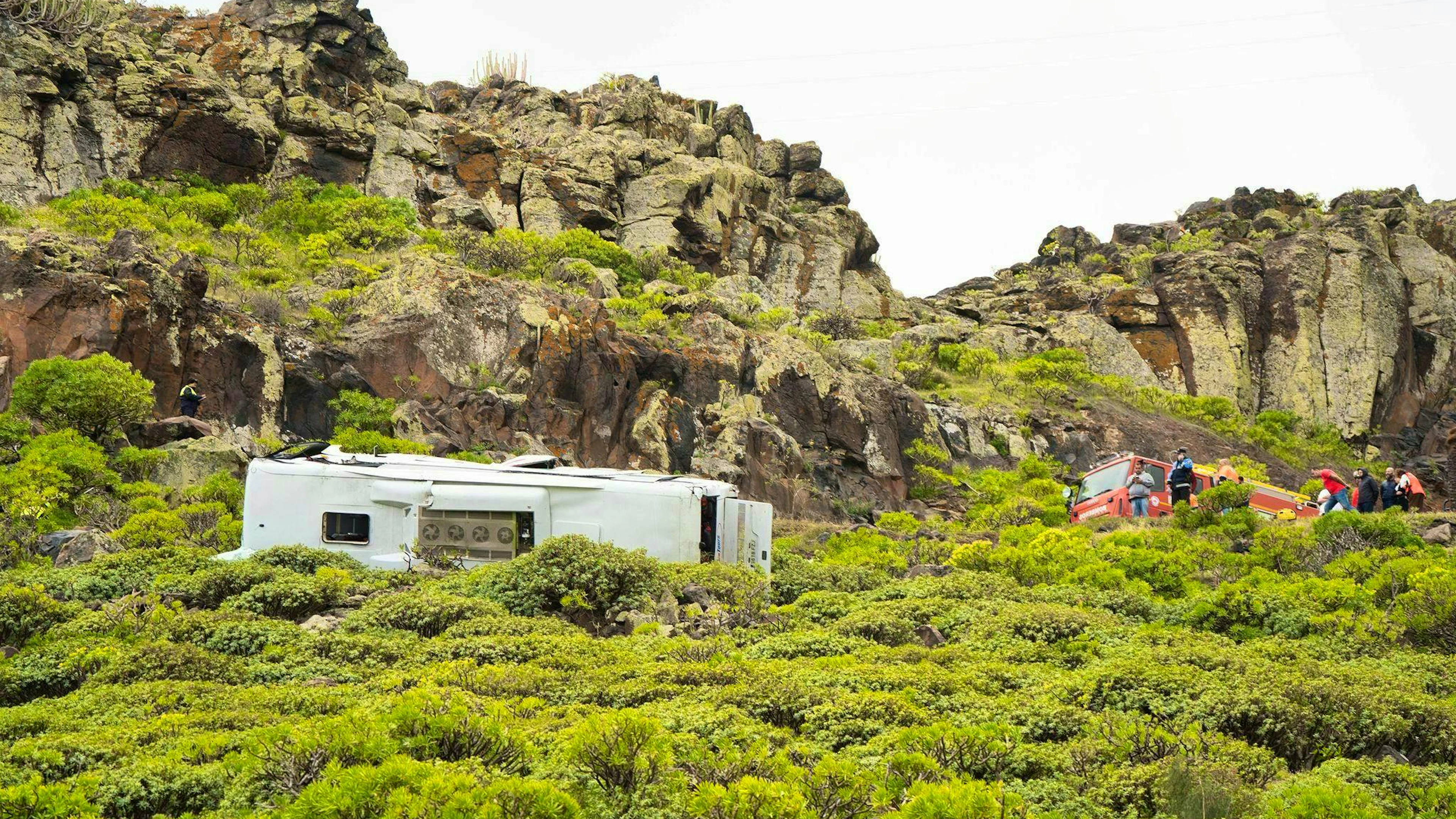 The vehicle belonging to the company "Gomera Tours" left the road in a bend on the GM-2 highway and fell down a slope.