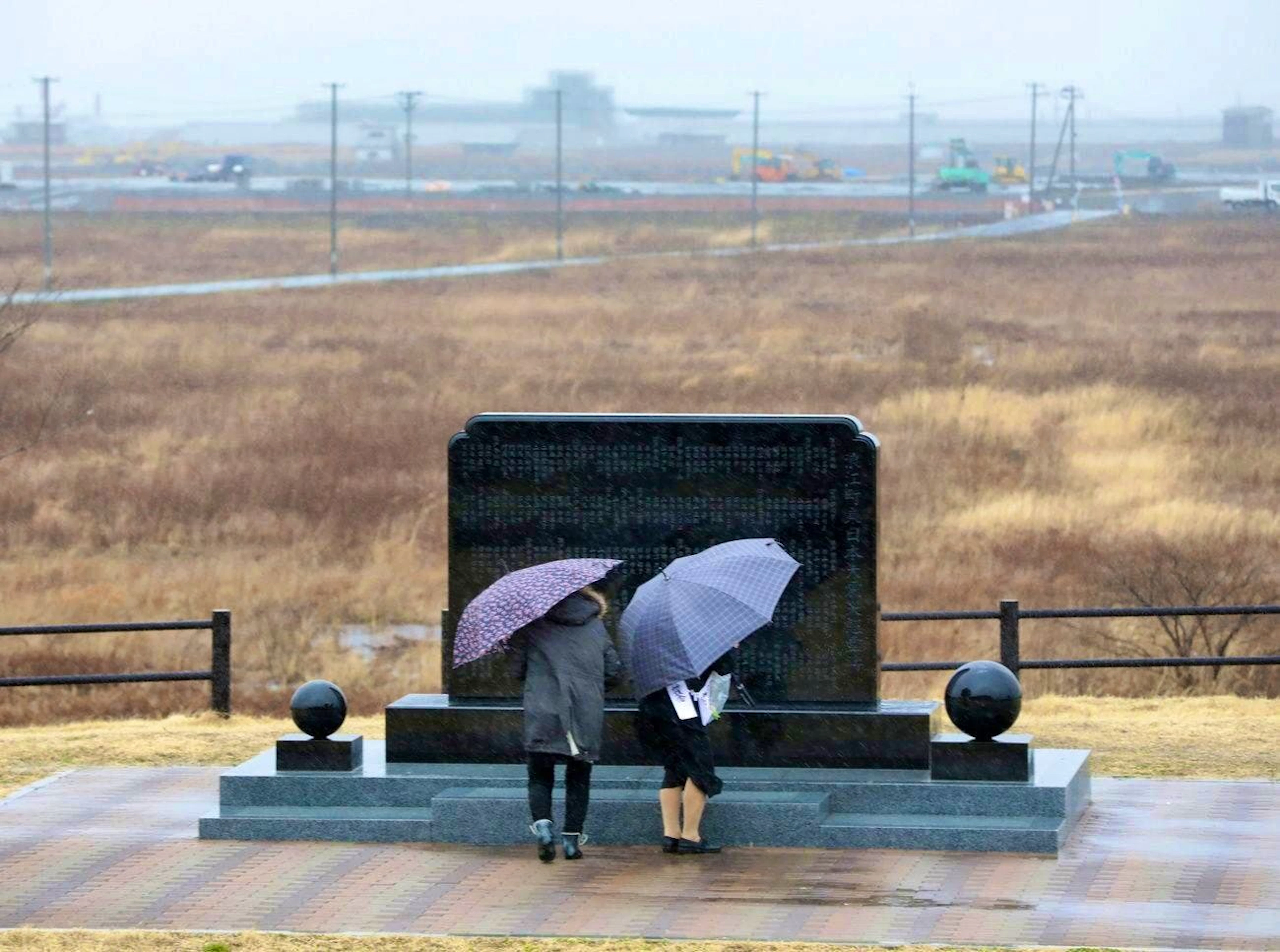 Nel 2011, a Fukushima si sono verificati diversi disastri: uno tsunami innescato da un terremoto ha colpito la centrale nucleare.