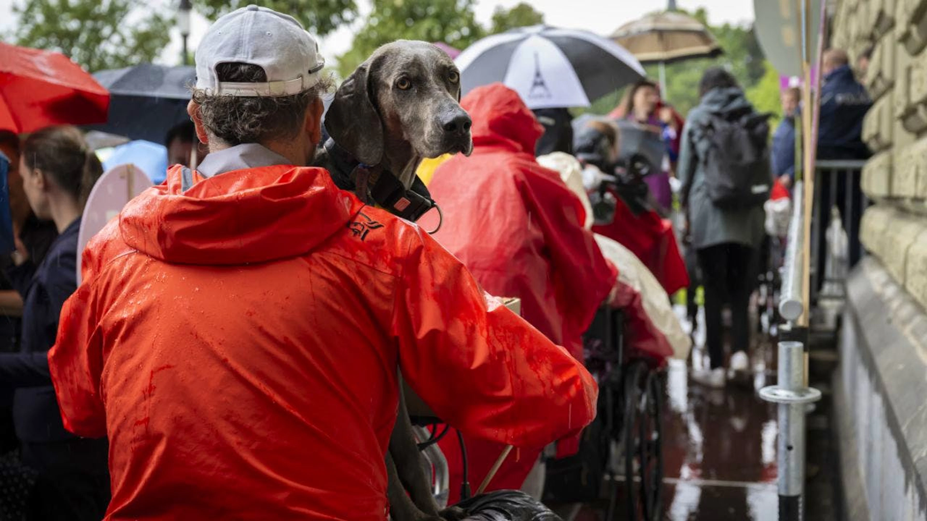 Assistenzhund im Einsatz bei einer Unterschriftenübergabe in Bern. Die zuständige Nationalratskommission will für mehr Qualität bei der Ausbildung der vierbeinigen Helfer sorgen. (Archivbild)