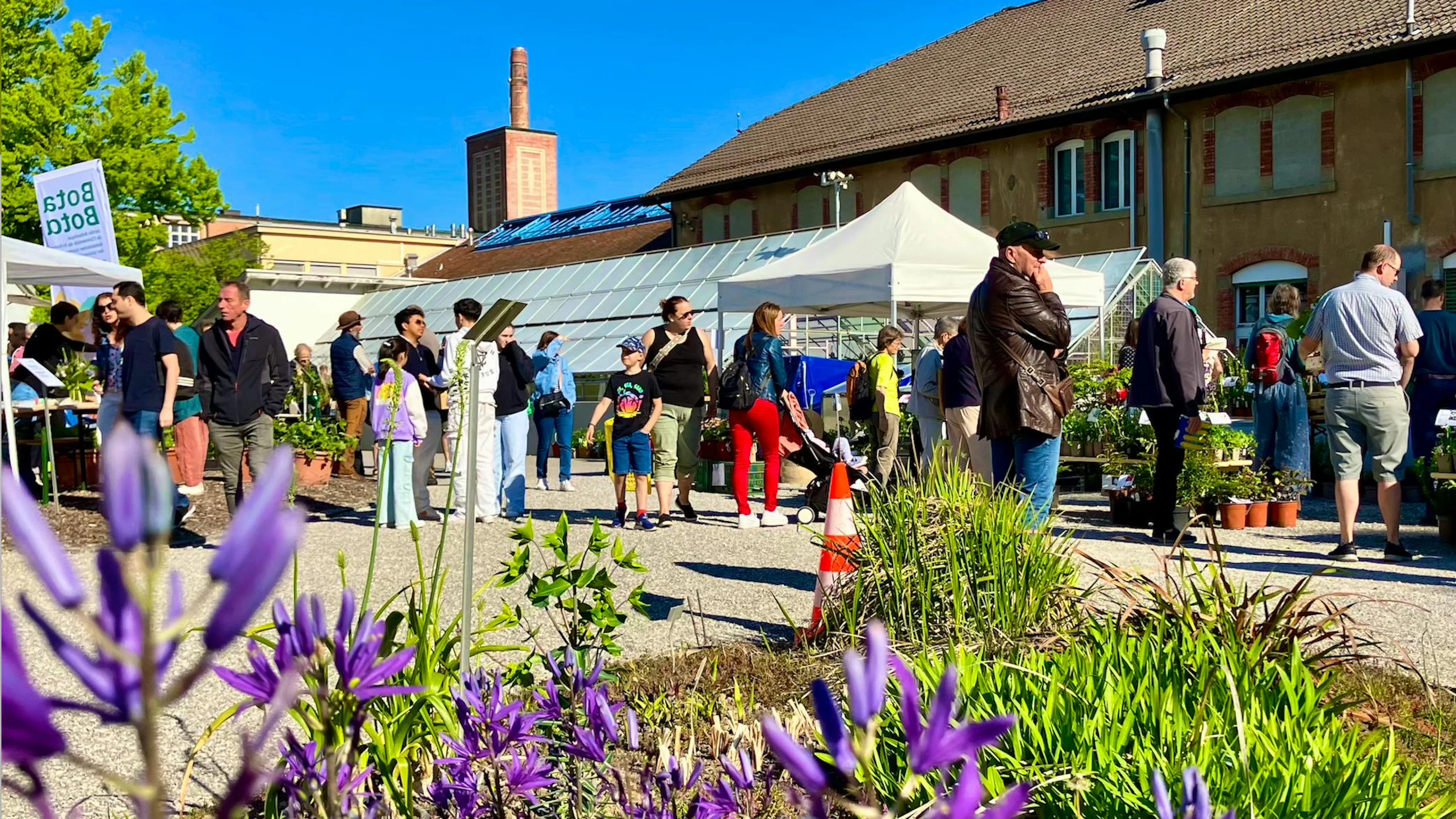 Le marché aux plantons rares de Fribourg.