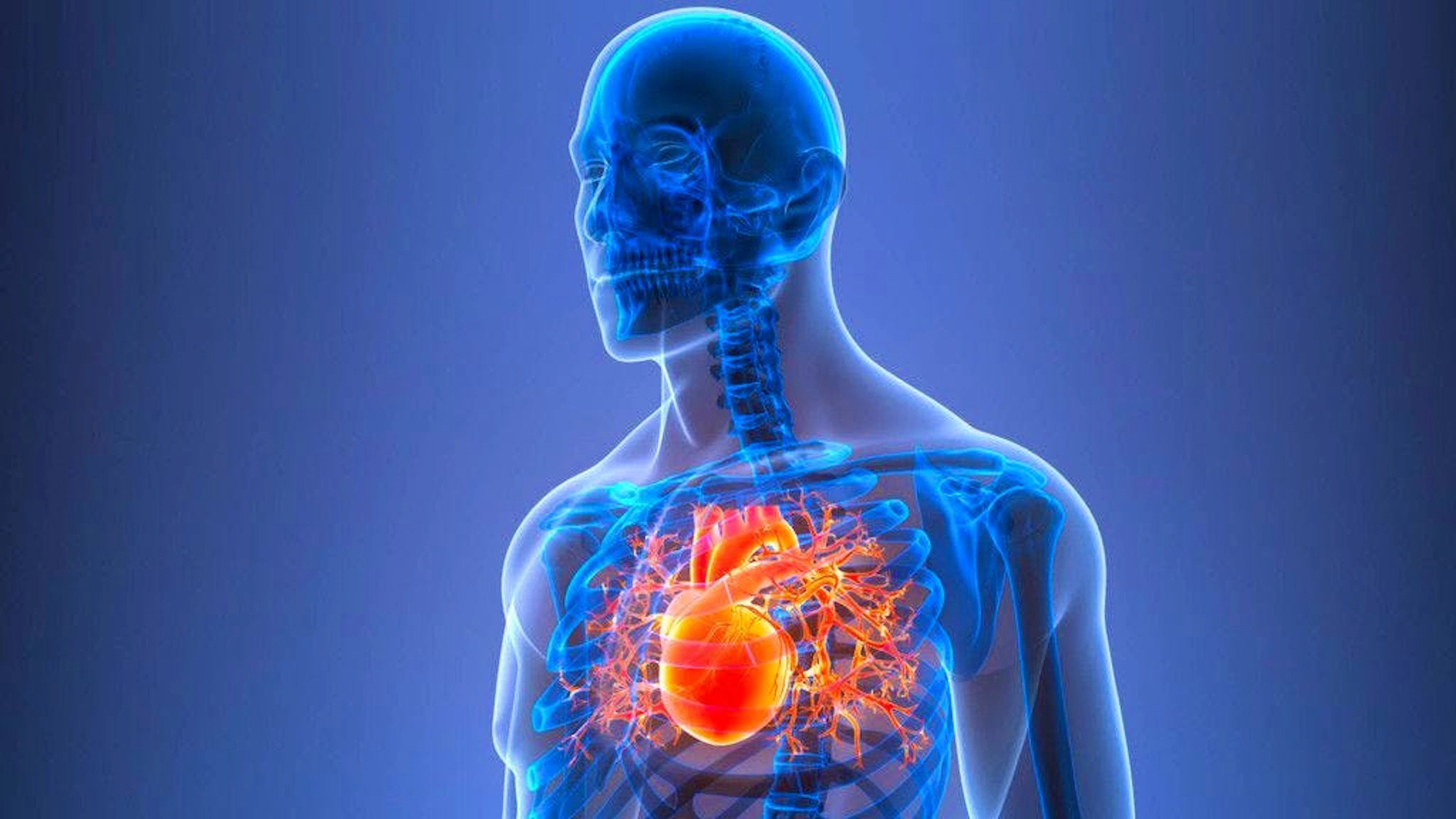 L'intelligenza artificiale prevede il rischio di insufficienza cardiaca fino a 5 anni prima