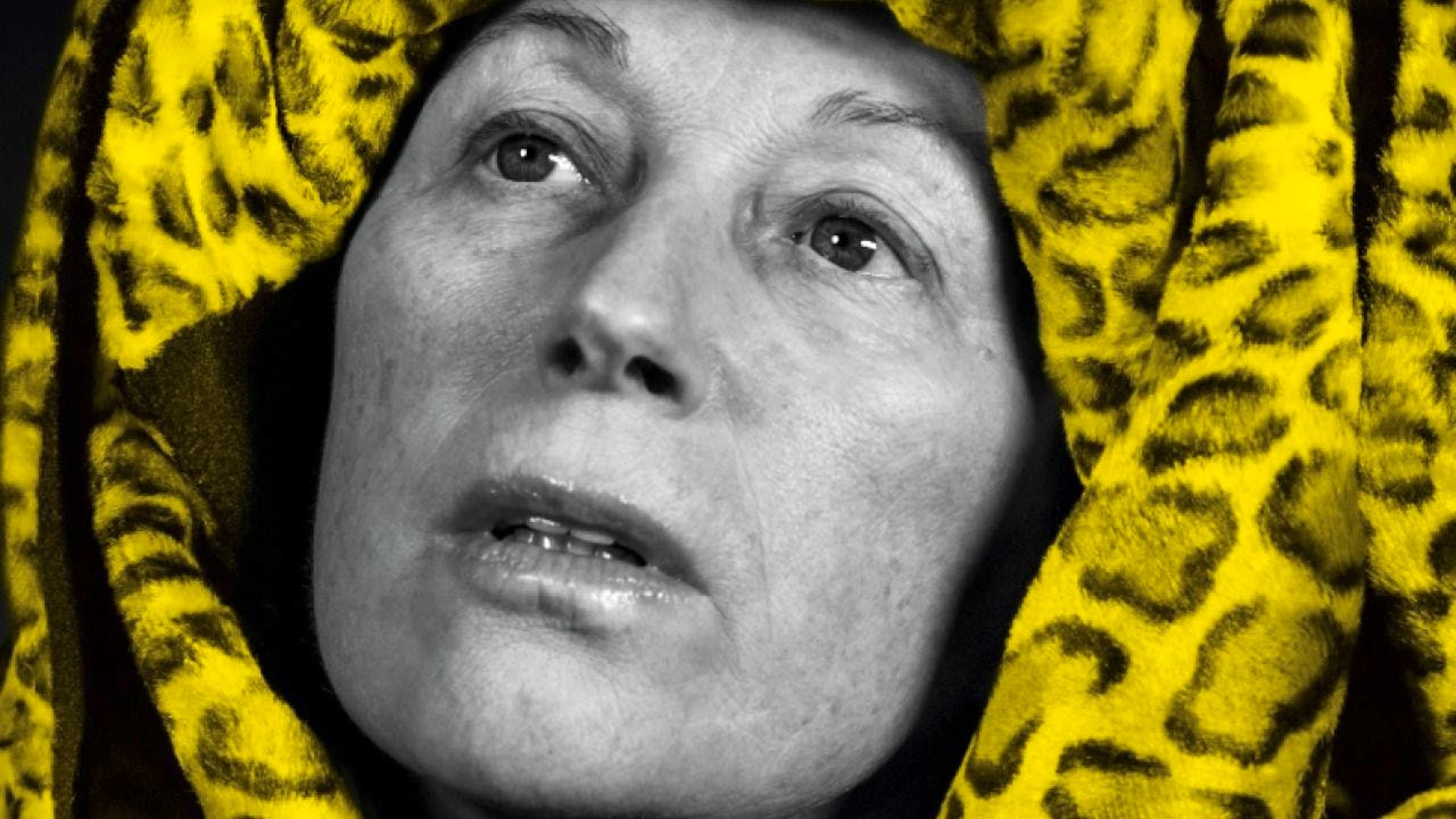 On doit l'affiche du prochain festival du film de Locarno à l’artiste et photographe américaine Cindy Sherman.