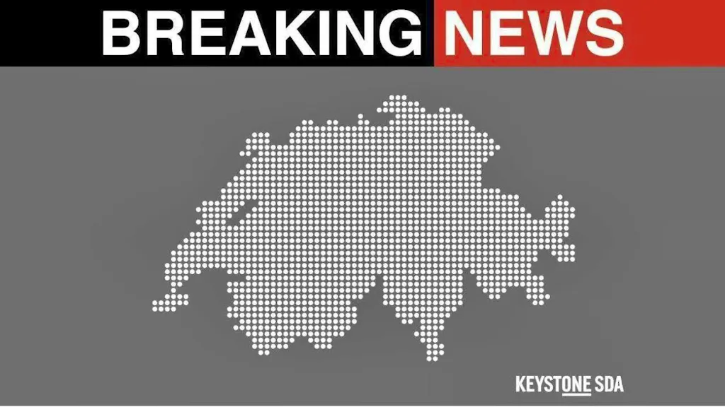Denner boss Torsten Friedrich resigns