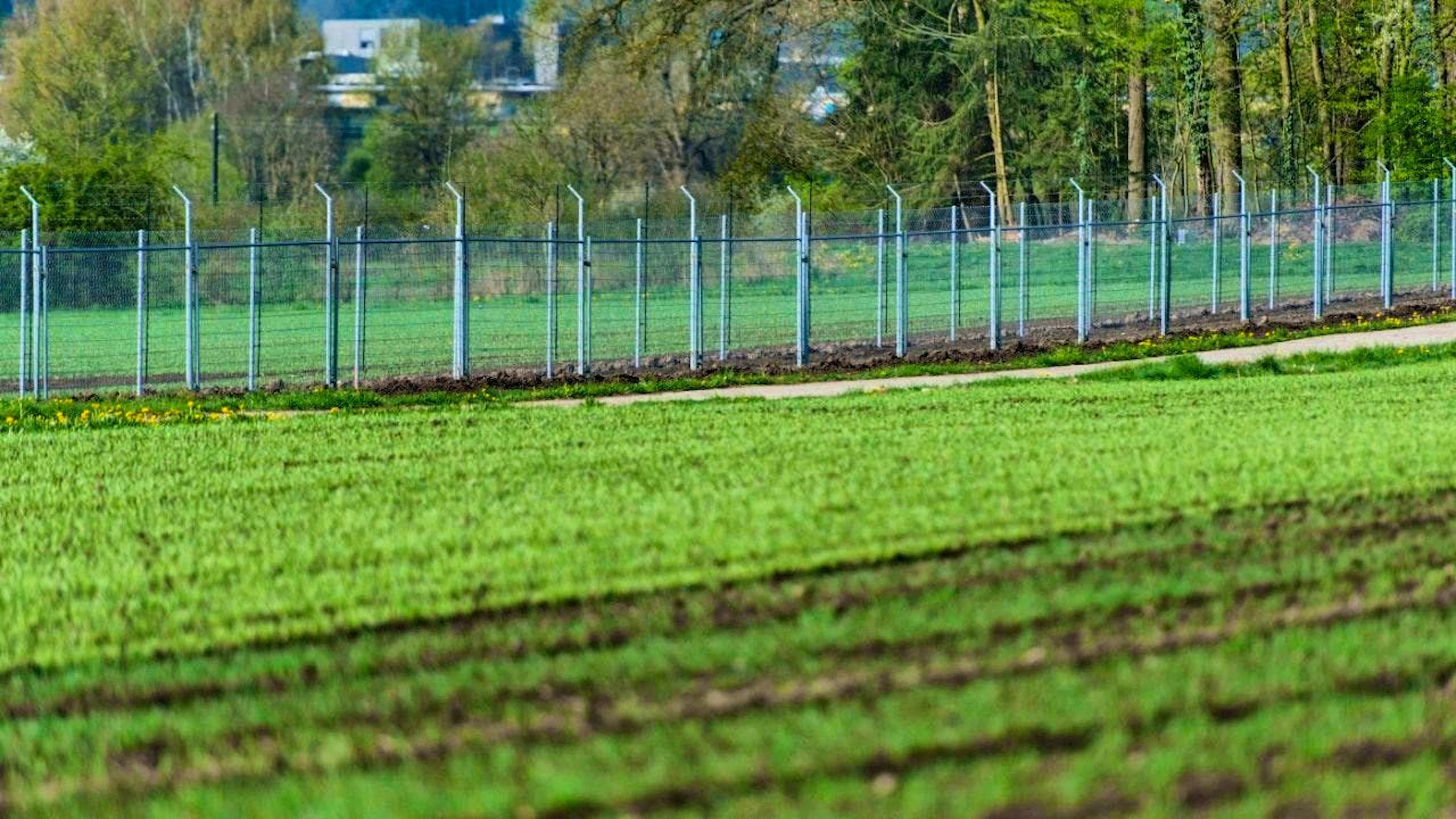 The trial field in Reckenholz ZH, where the genetically modified potatoes are released, is fenced in and guarded. (archive picture)