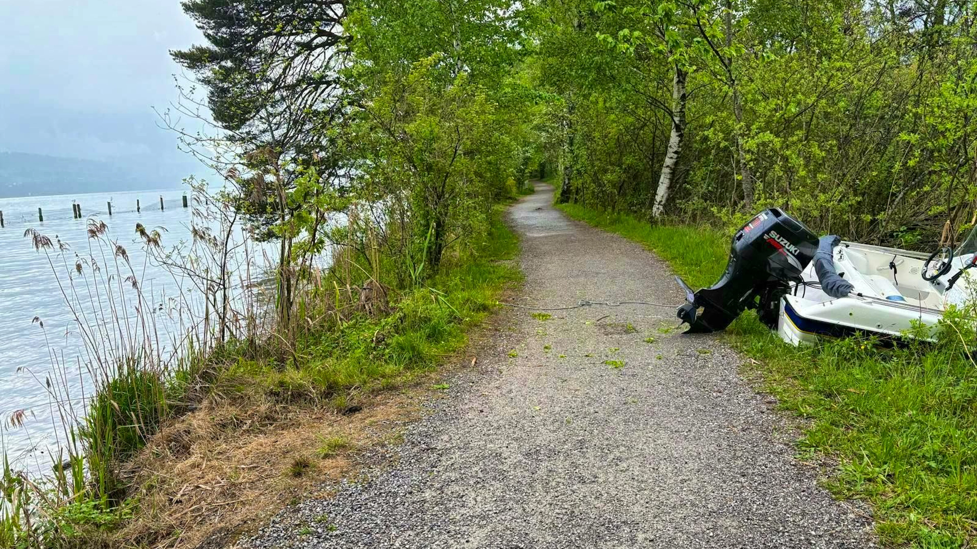 Le bateau traverse en trombe le chemin de la rive et s'immobilise dans un buisson.