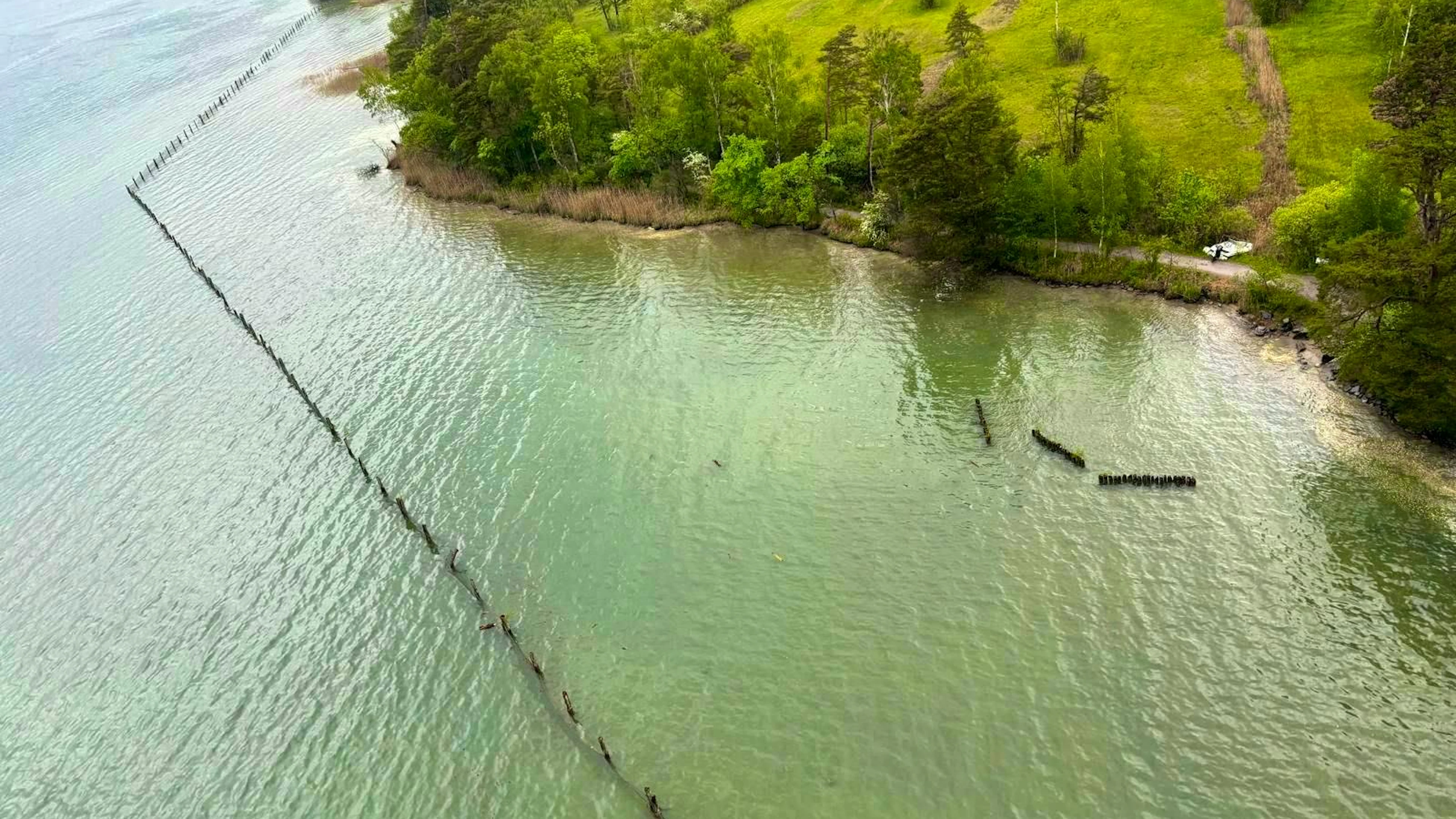 Peu après, celui-ci traverse une barrière et fonce vers la terre ferme.