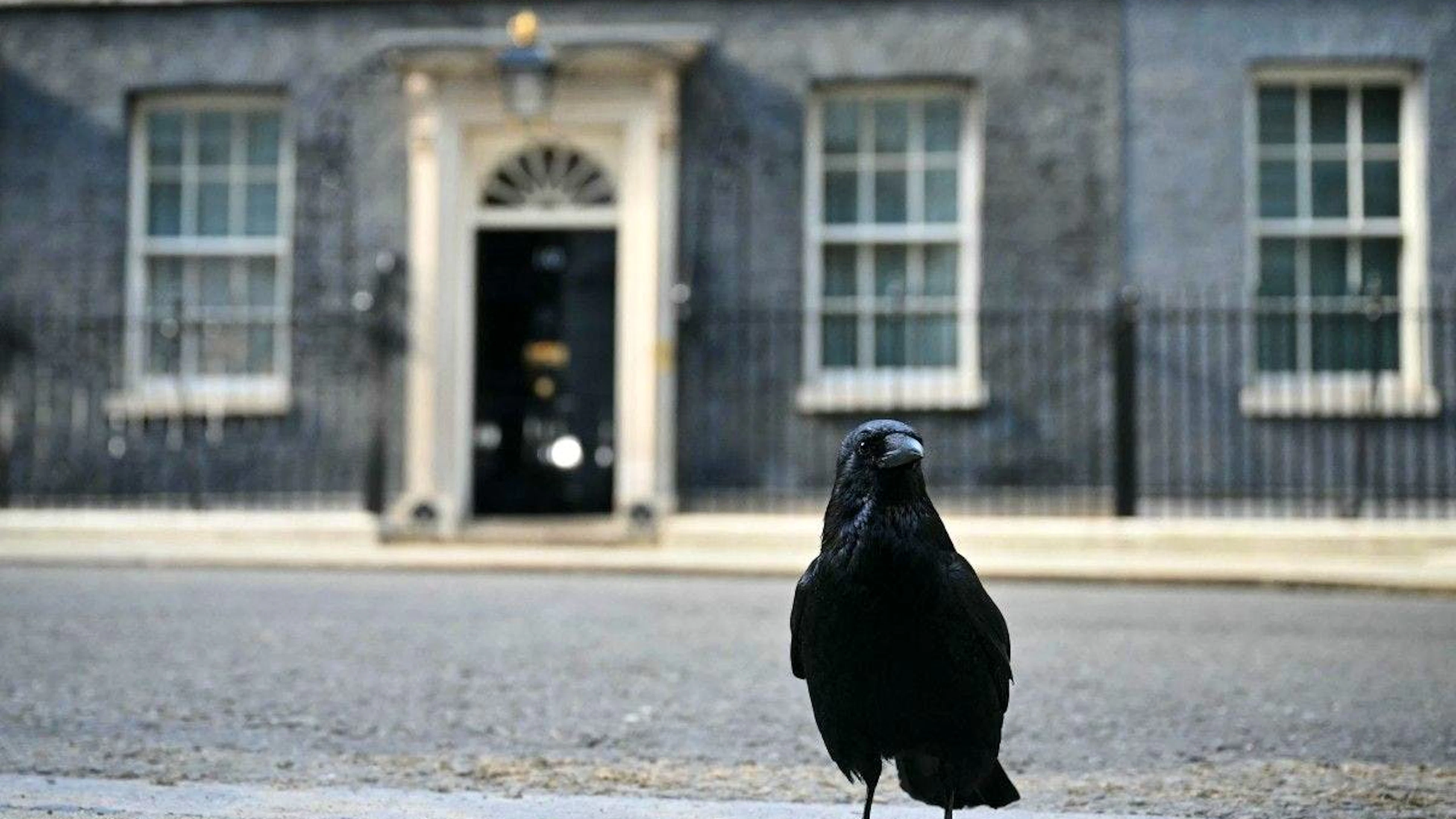 Si le Premier ministre britannique s’accroche au pouvoir malgré des résultats historiquement mauvais aux élections locales, les rumeurs vont déjà bon train concernant sa succession.