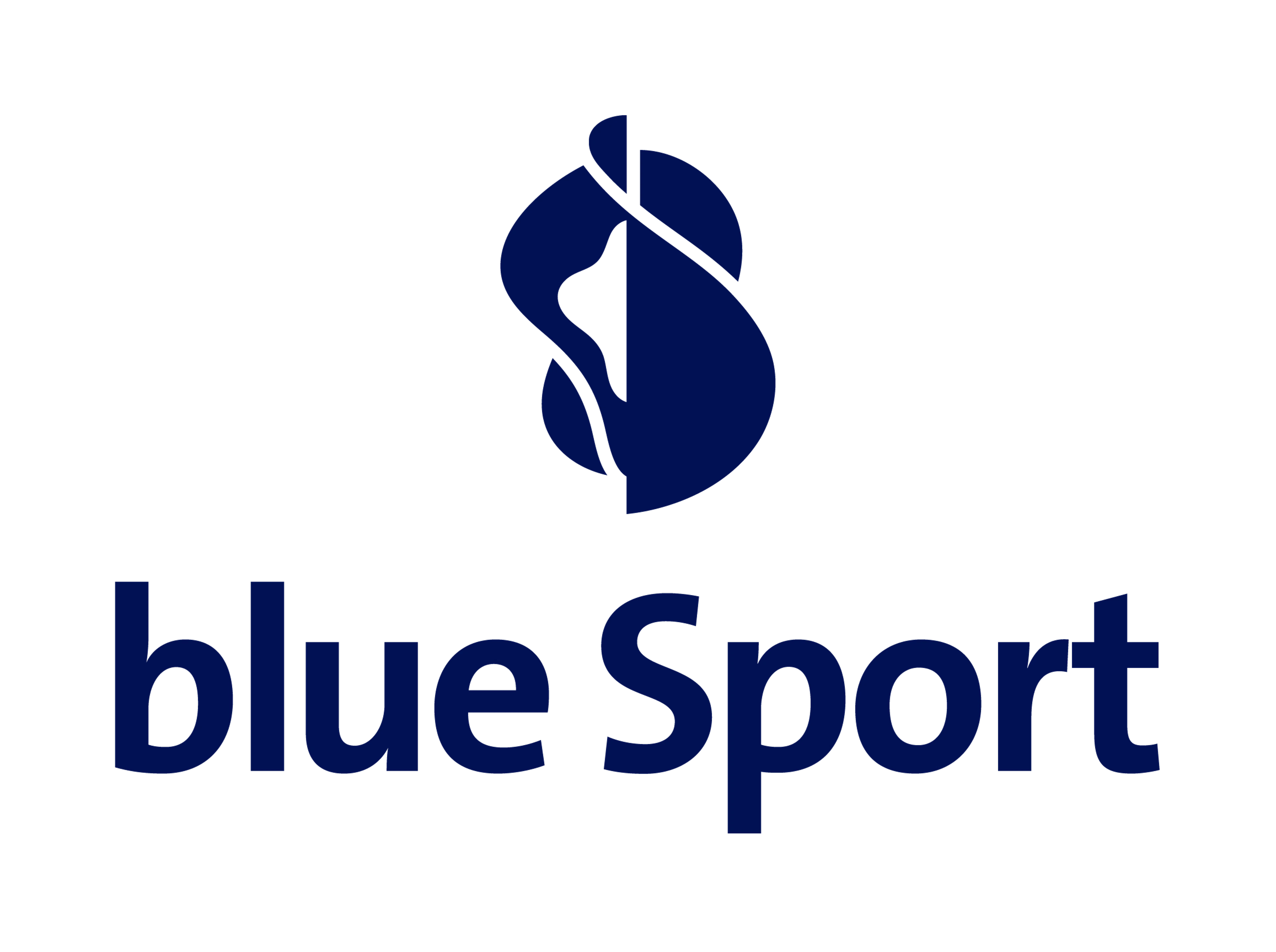 Sponsor logo