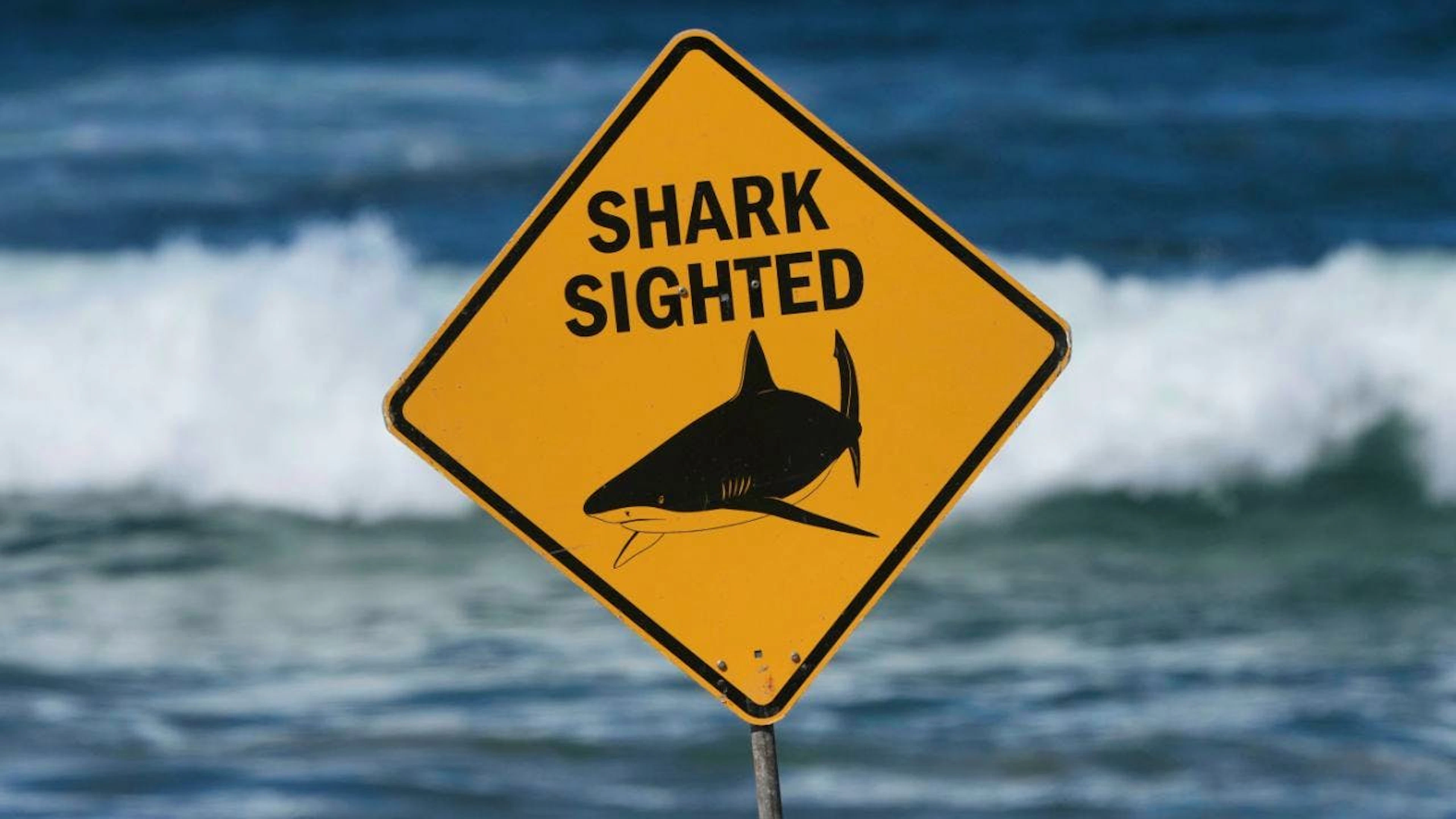 Ein Warnschild vor Haien an einem Strand in Australien. (Archivbild)