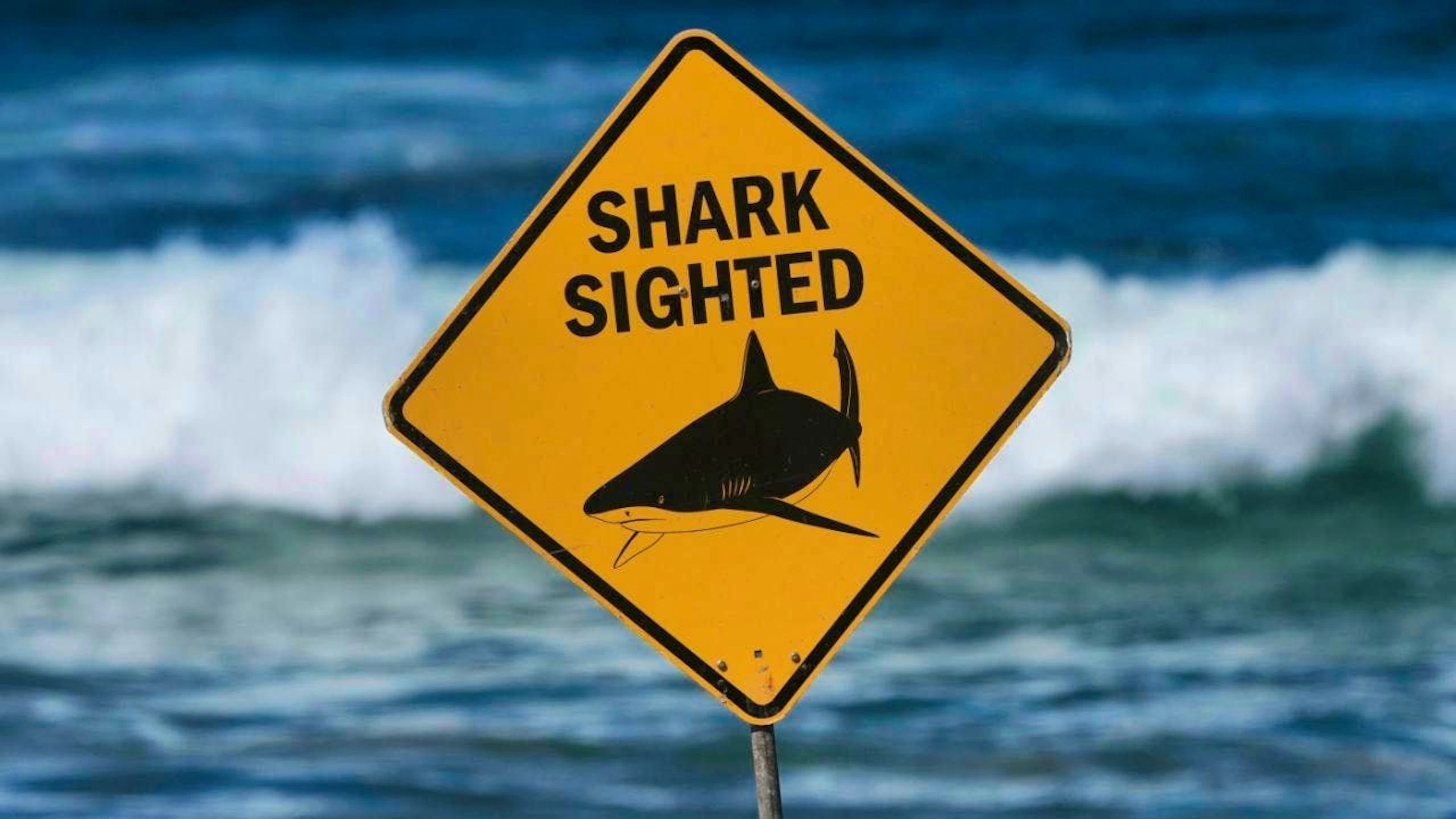 A warning sign about sharks on a beach in Australia. (archive picture)
